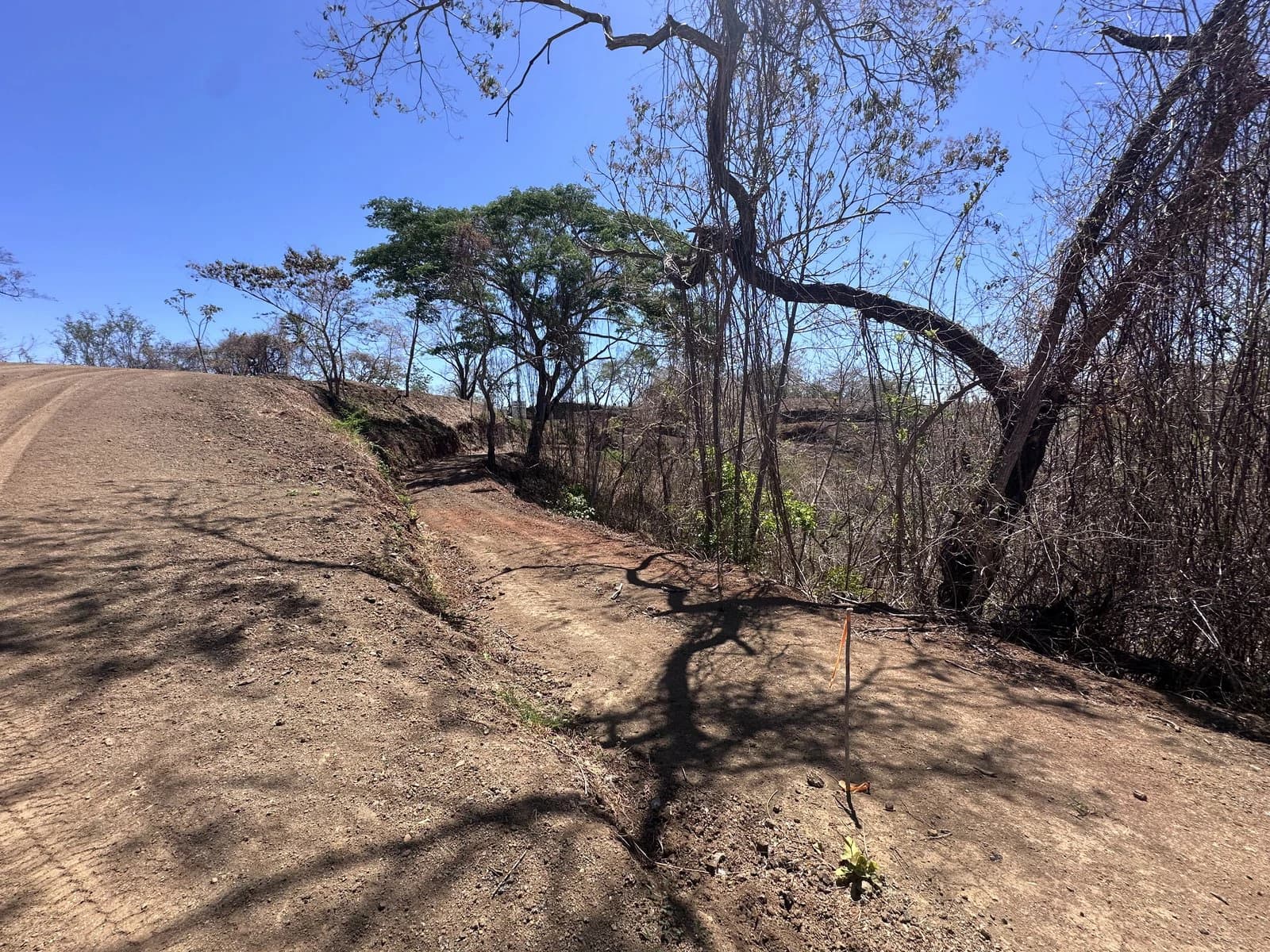 Lot 131 - Las Cumbres del Mar | 1,607 m² | Nosara, Costa Rica - photo 3