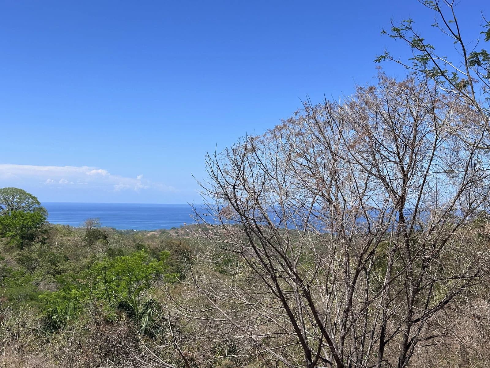 Lot 133 - Las Cumbres del Mar | 1,404 m² | Nosara, Costa Rica - photo 4