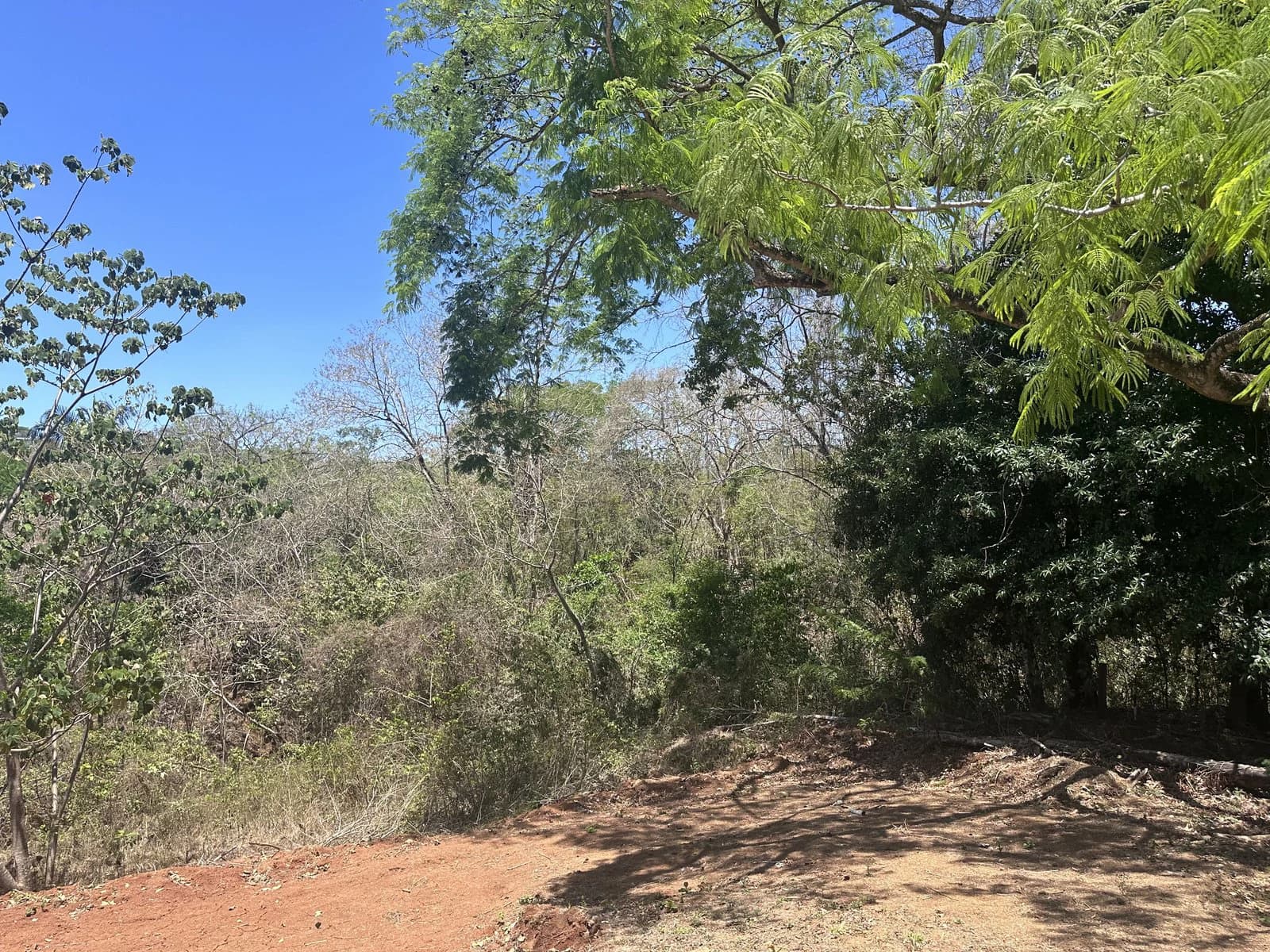 Lot 16A - Las Cumbres del Mar | 842 m² | Nosara, Costa Rica - photo 3