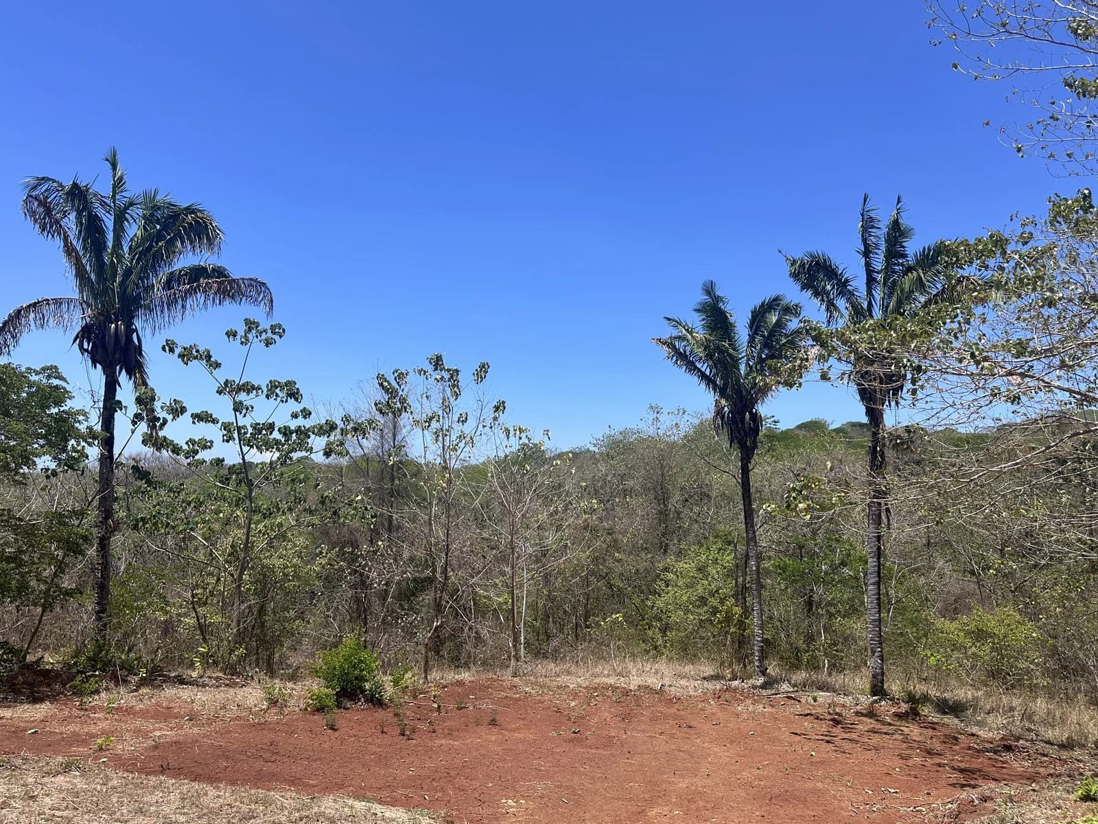 Lot 20 - Las Cumbres del Mar | 1,214 m² | Nosara, Costa Rica - photo 2
