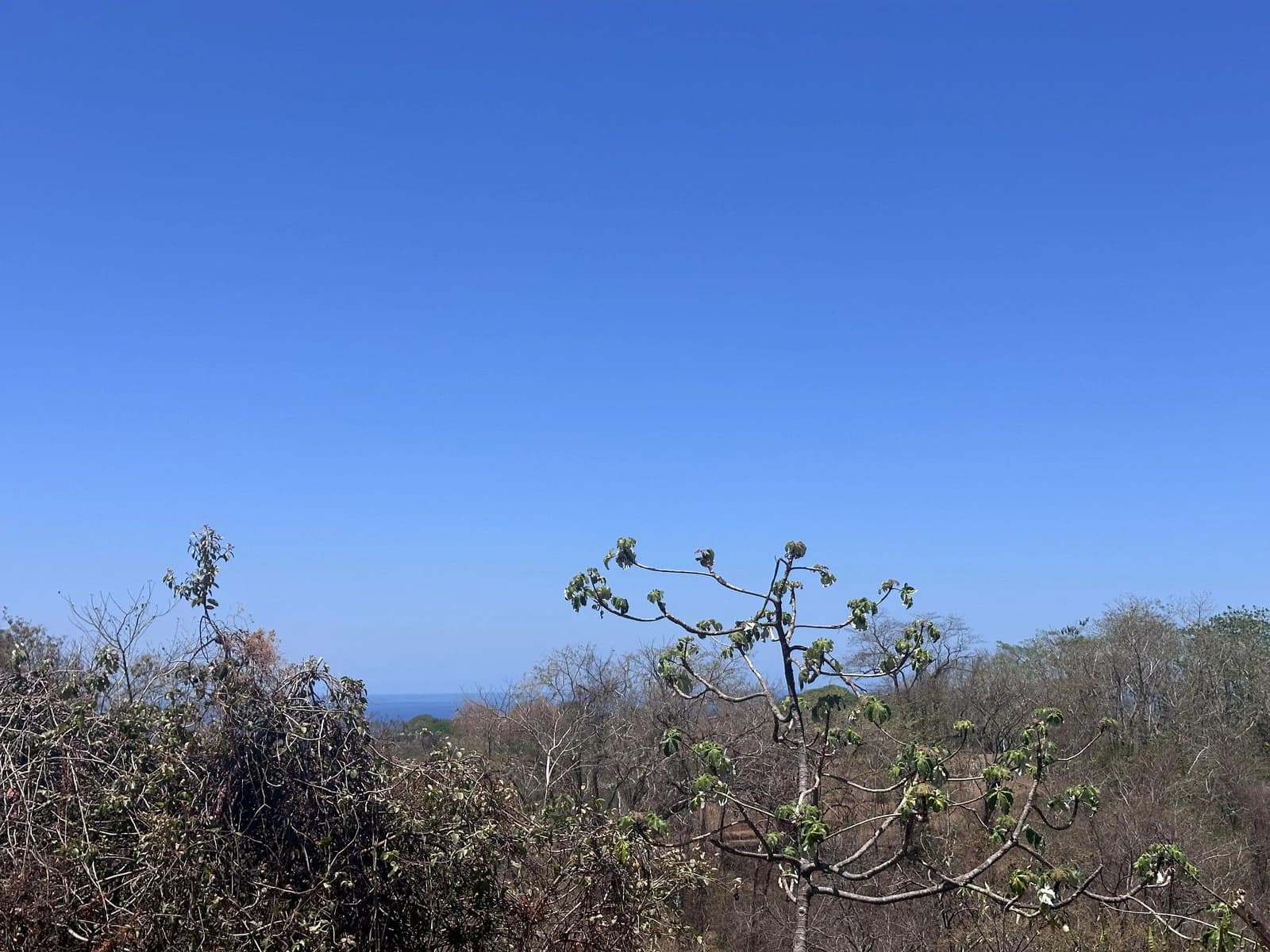 Lot 2 - Las Cumbres del Mar | 2,555 m² | Nosara, Costa Rica - photo 4