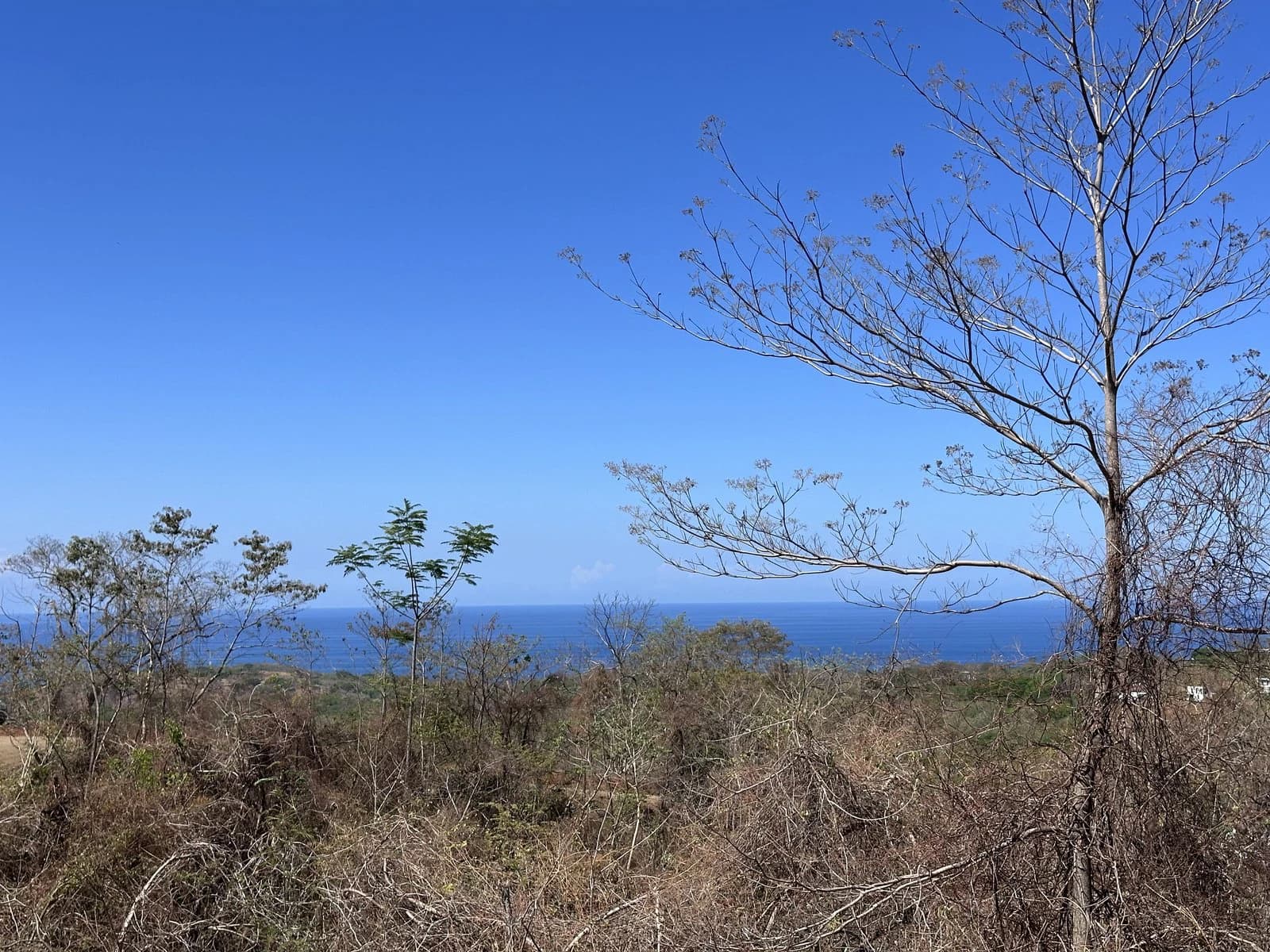 Lot 1 - Las Cumbres del Mar | 1,746 m² | Nosara, Costa Rica - photo 5