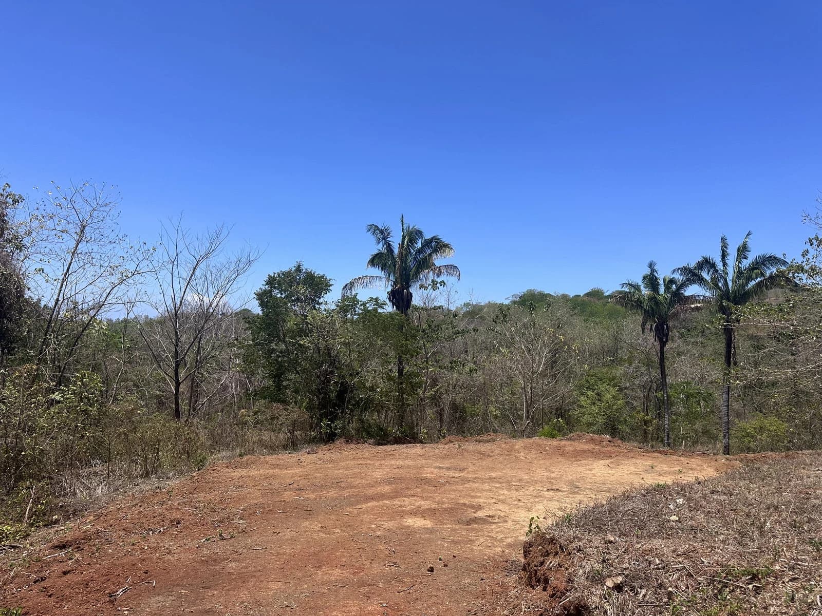 Lot 21 - Las Cumbres del Mar | 1,765 m² | Nosara, Costa Rica - photo 2