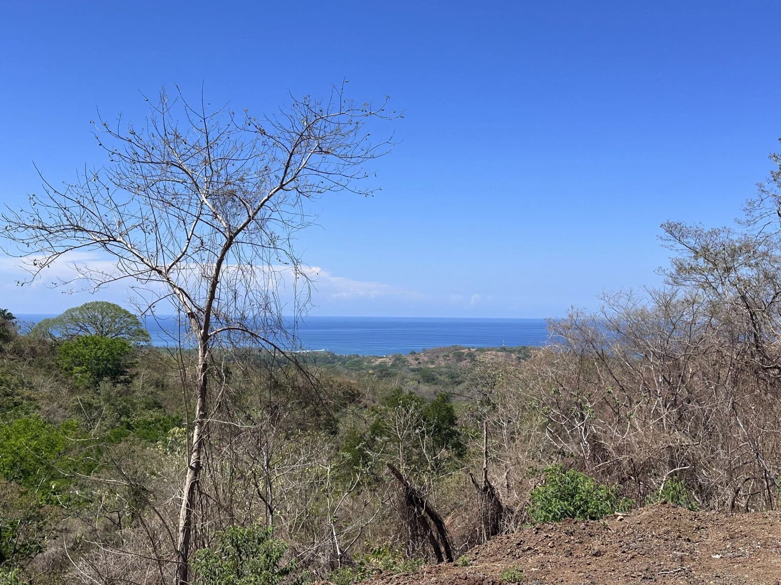 Lot 132 - Las Cumbres del Mar | 1,766 m² | Nosara, Costa Rica - photo 4