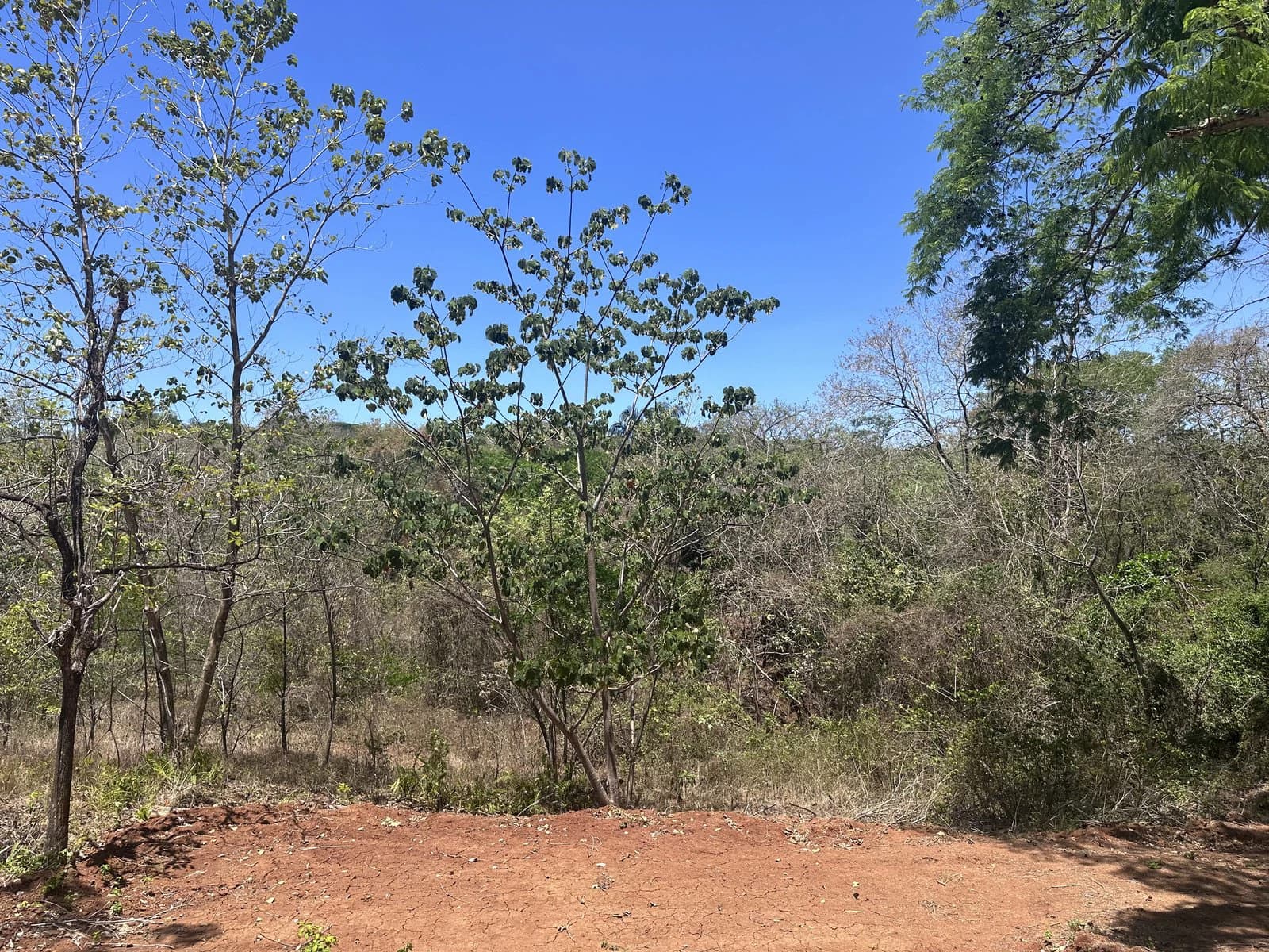 Lot 16A - Las Cumbres del Mar | 842 m² | Nosara, Costa Rica - photo 2
