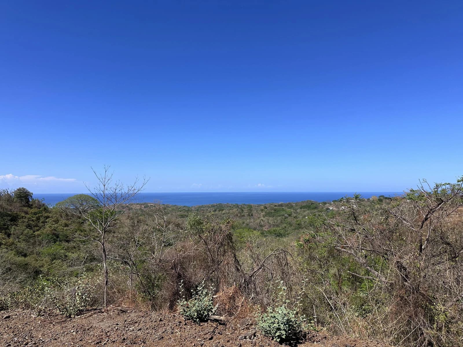 Lot 135 - Las Cumbres del Mar | 3,560 m² | Nosara, Costa Rica - photo 4