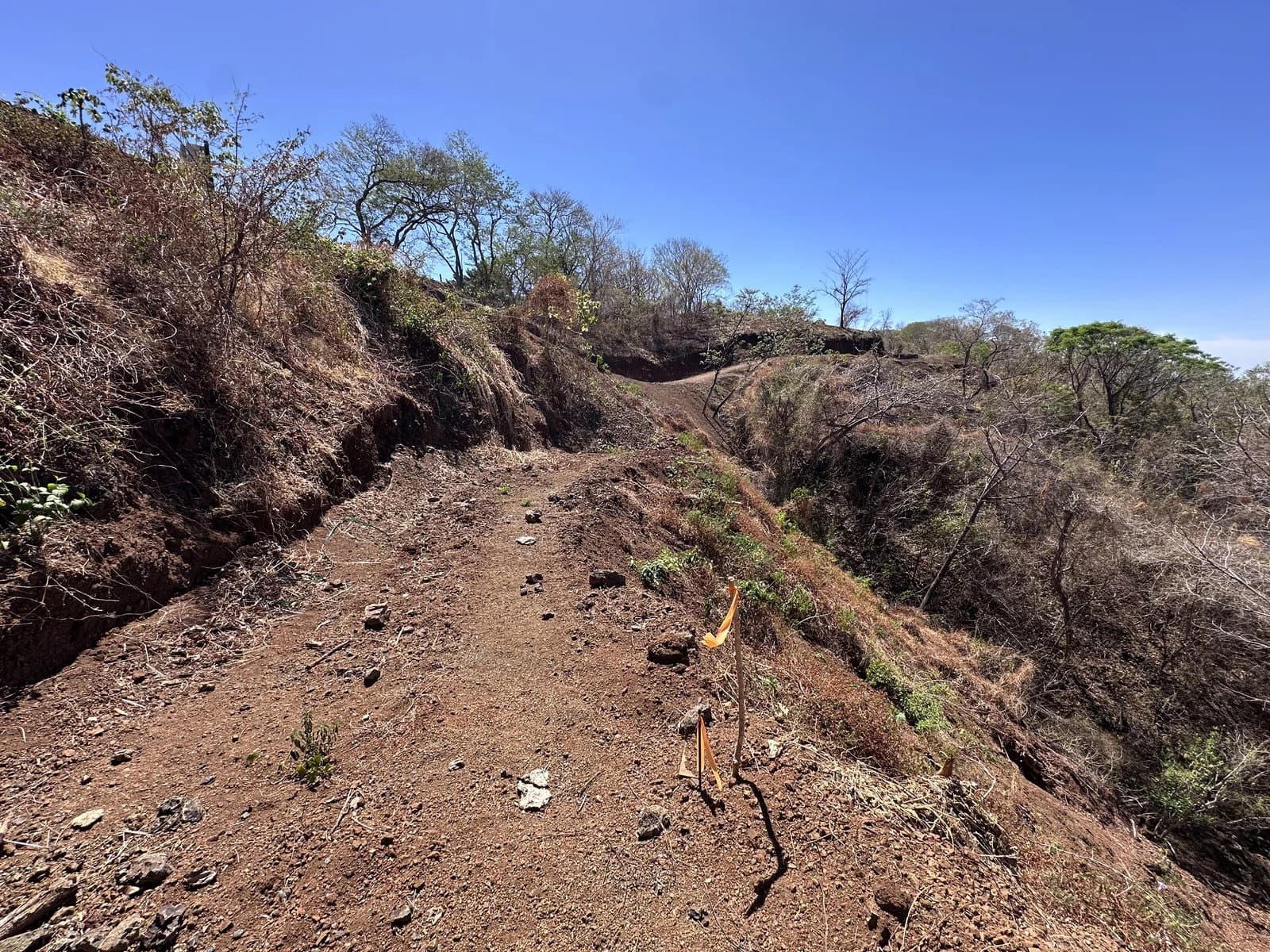 Lot 133 - Las Cumbres del Mar | 1,404 m² | Nosara, Costa Rica