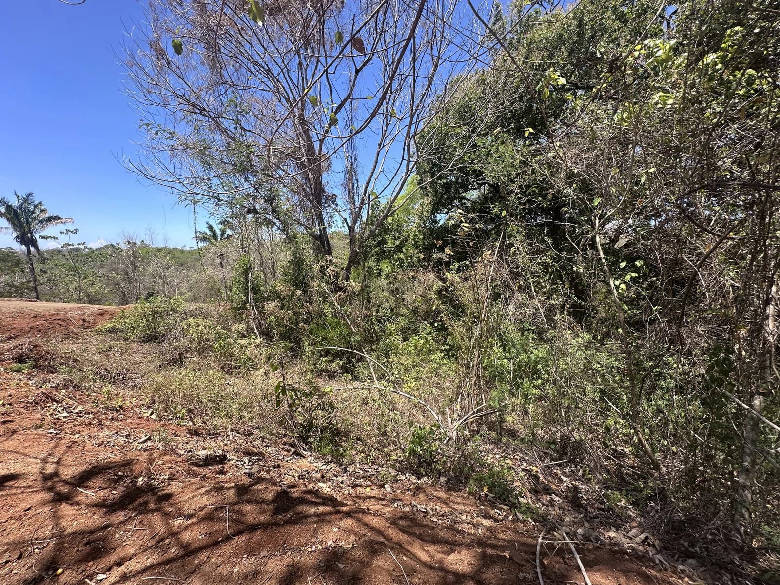 Lot 16 - Las Cumbres del Mar | 1,113 m² | Nosara, Costa Rica - photo 3