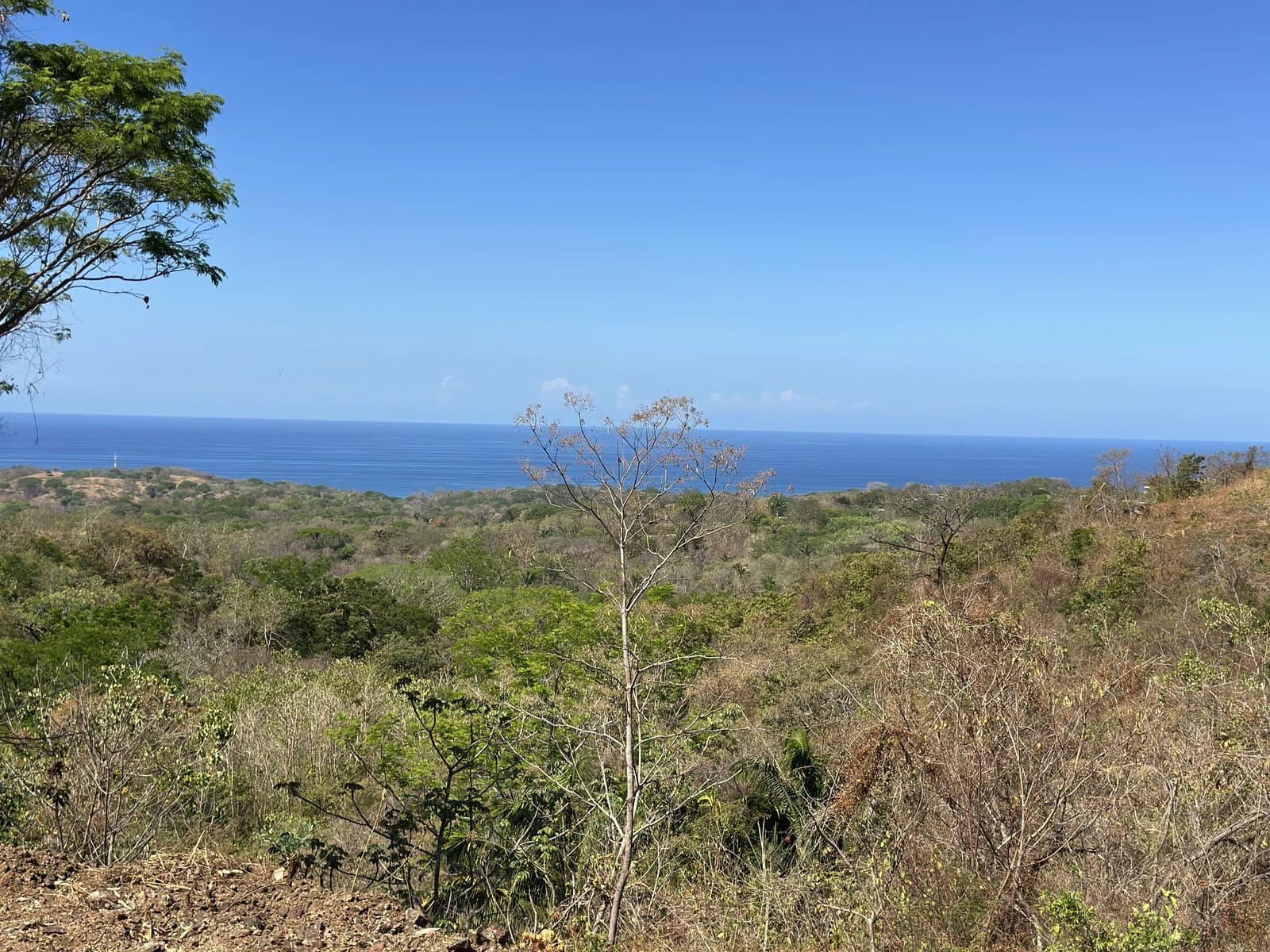 Lot 134 - Las Cumbres del Mar | 2,331 m² | Nosara, Costa Rica - photo 4