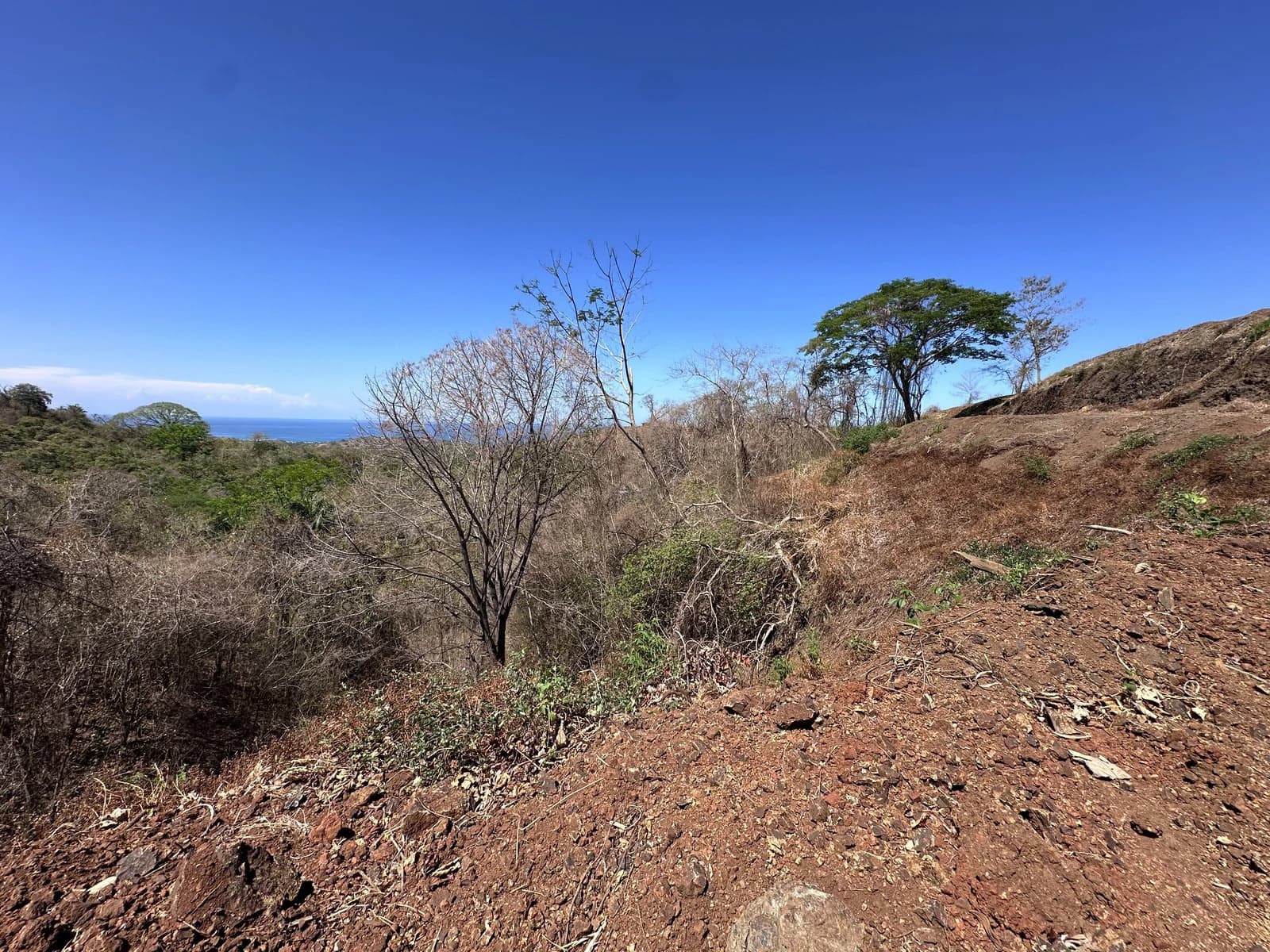 Lot 133 - Las Cumbres del Mar | 1,404 m² | Nosara, Costa Rica - photo 3