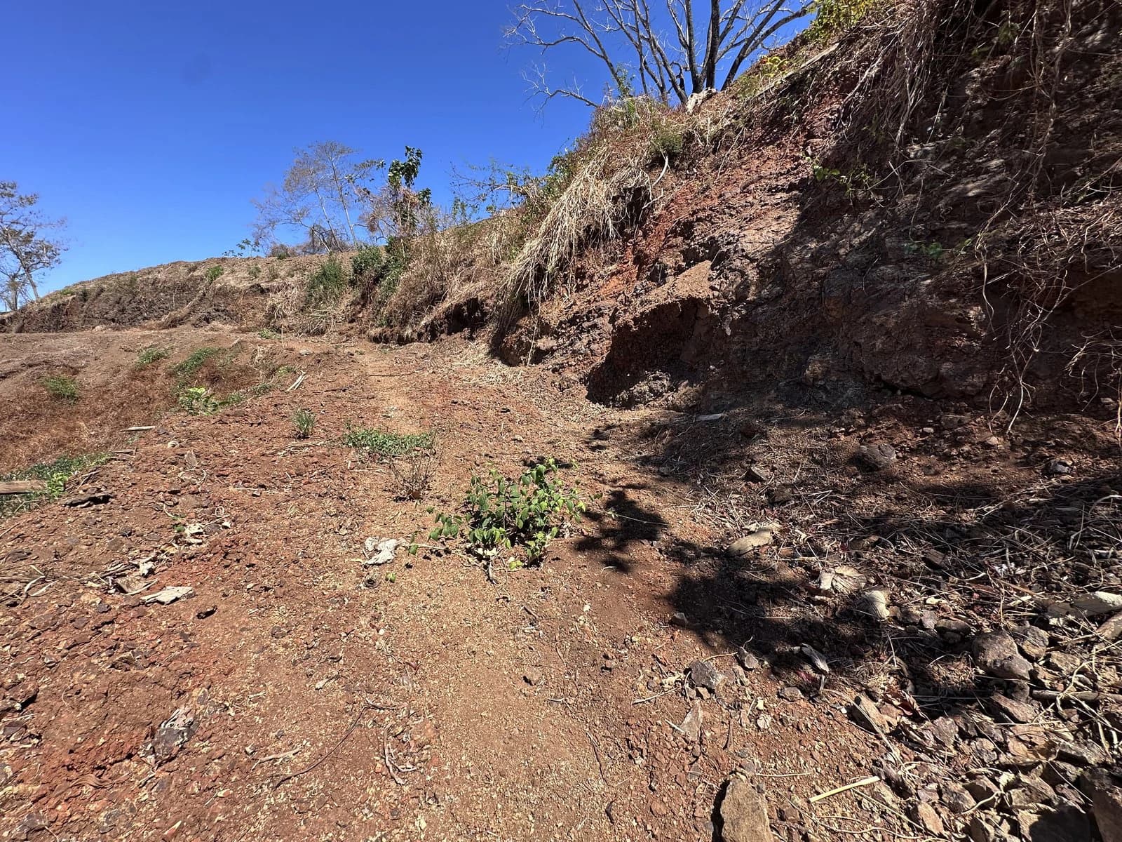 Lot 133 - Las Cumbres del Mar | 1,404 m² | Nosara, Costa Rica - photo 2