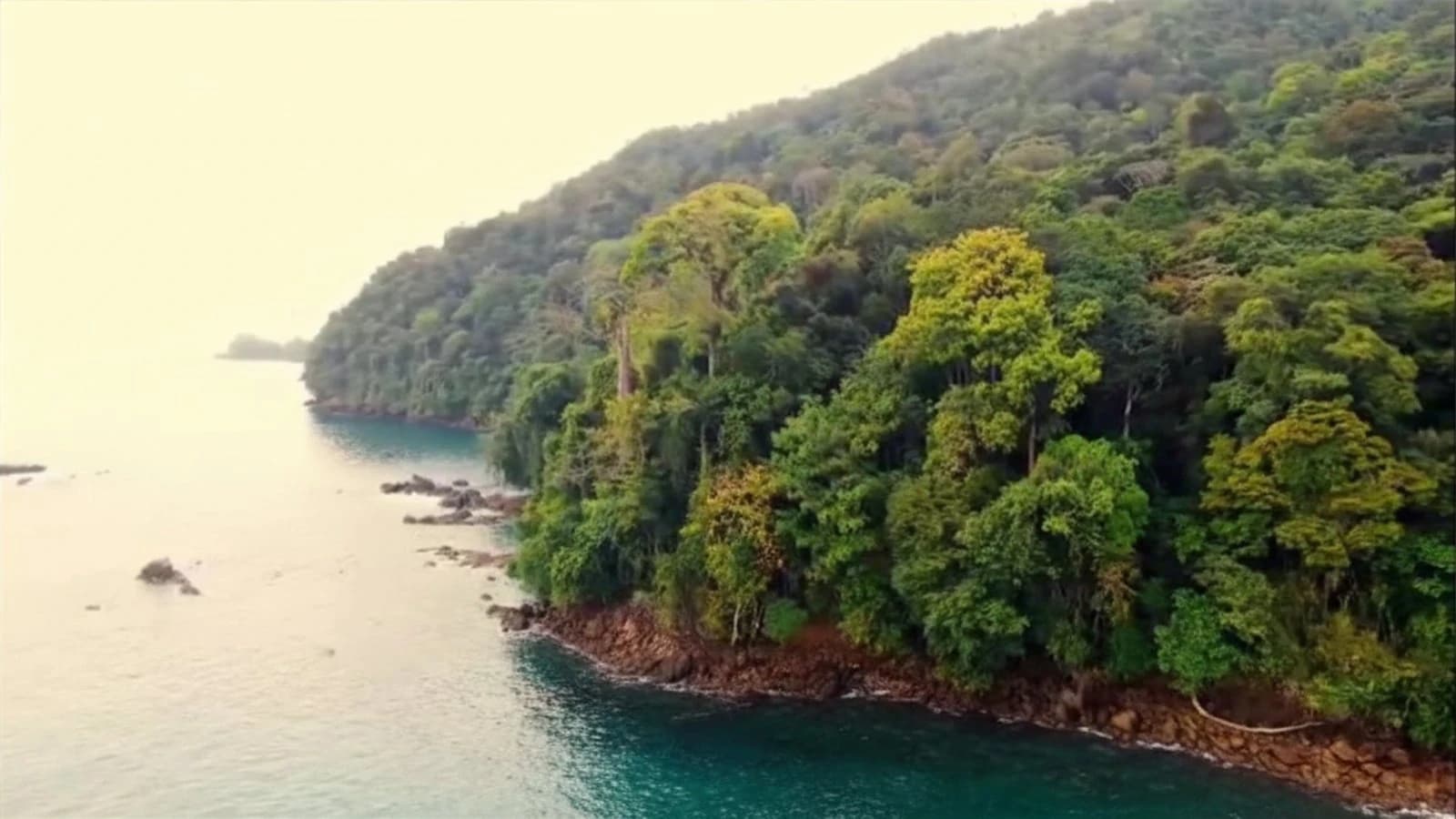 820-Hectare Oceanfront Land at Pinas Bay, Darien - photo 8