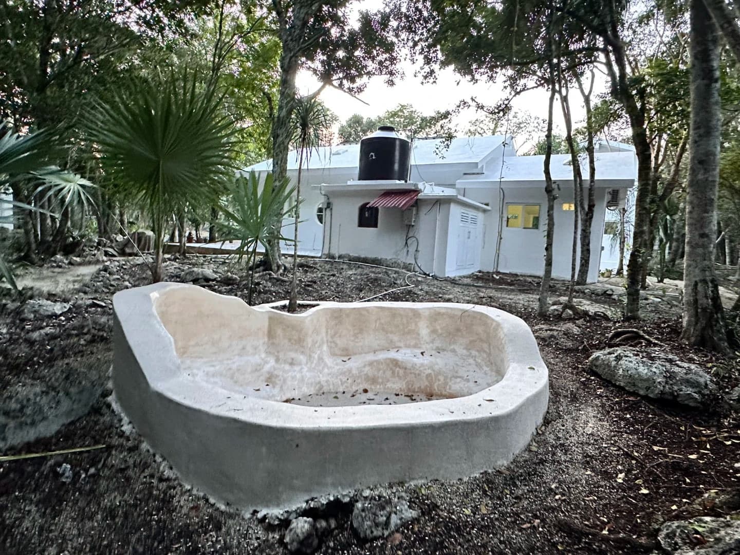 Jungle Homes on 2.5 Acres - photo 11