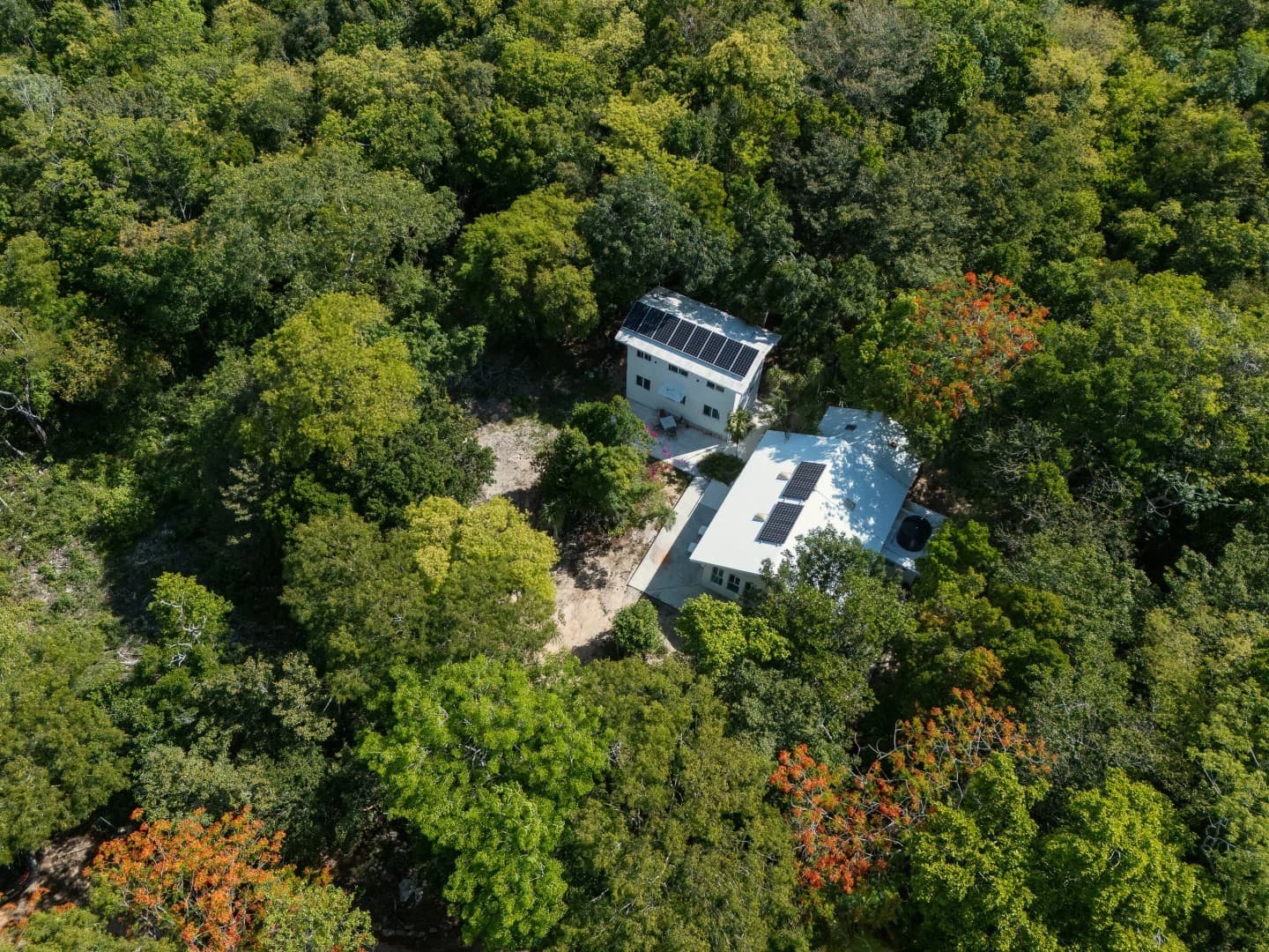 Jungle Homes on 2.5 Acres - photo 16