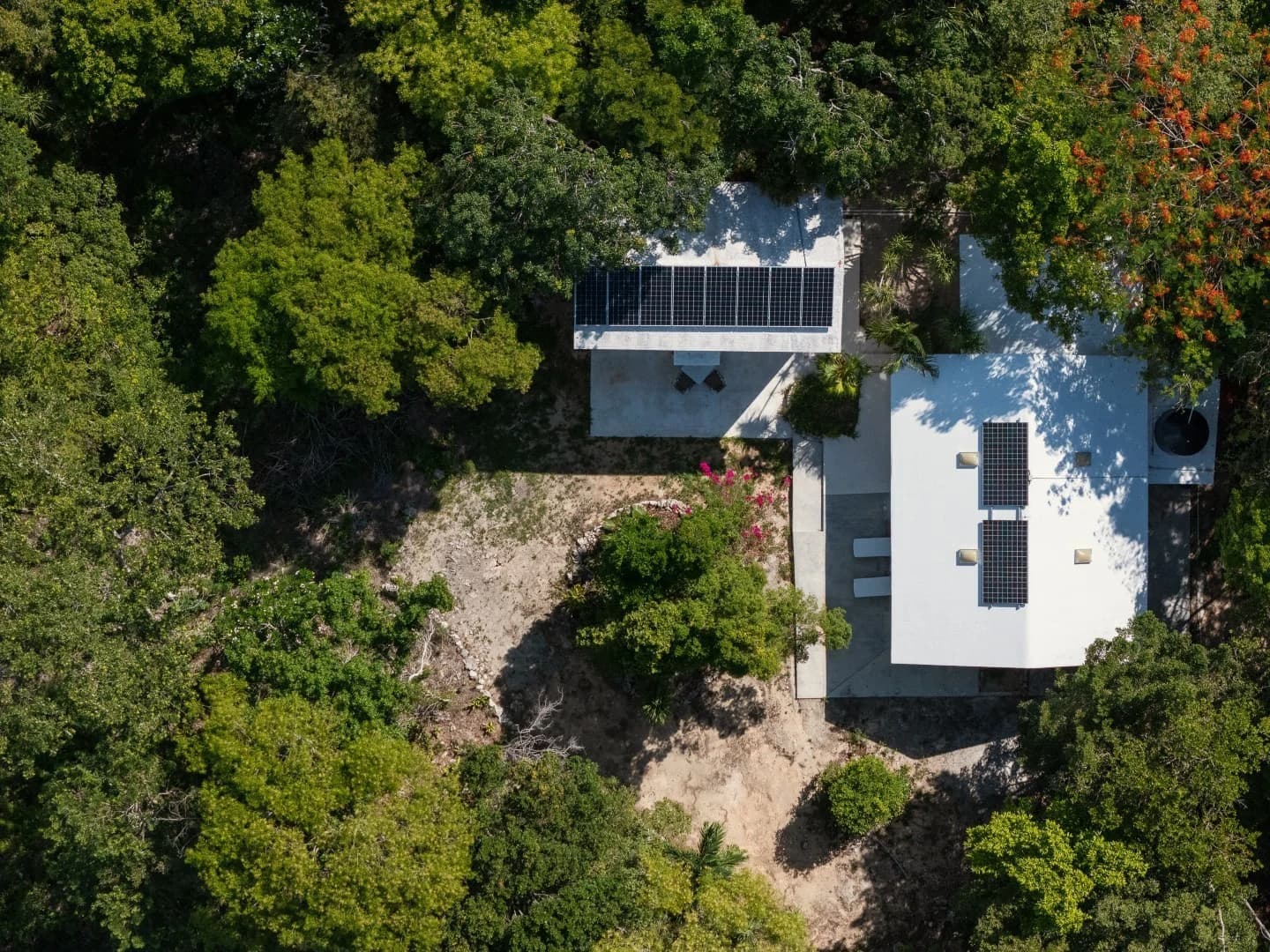 Jungle Homes on 2.5 Acres - photo 2