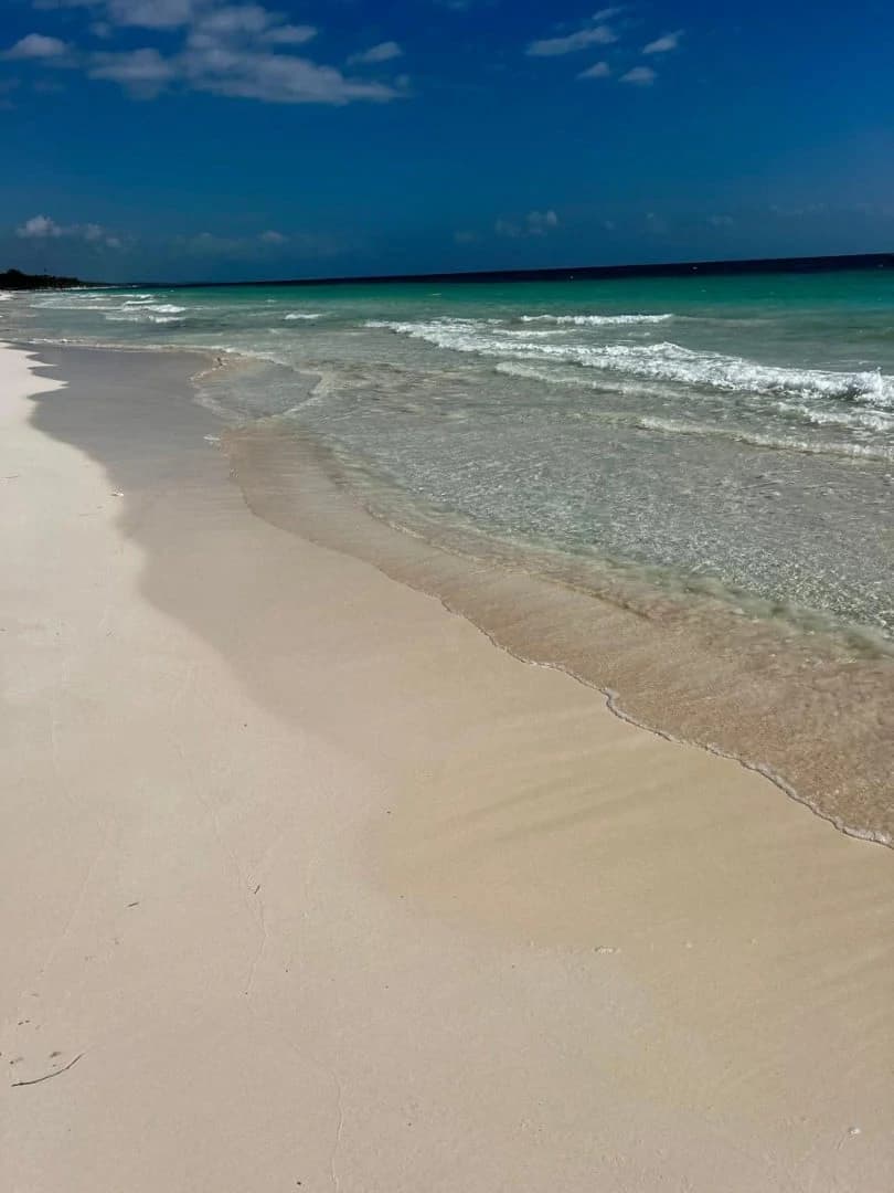 Tulum Hotel Zone Beachfront Land - photo 10