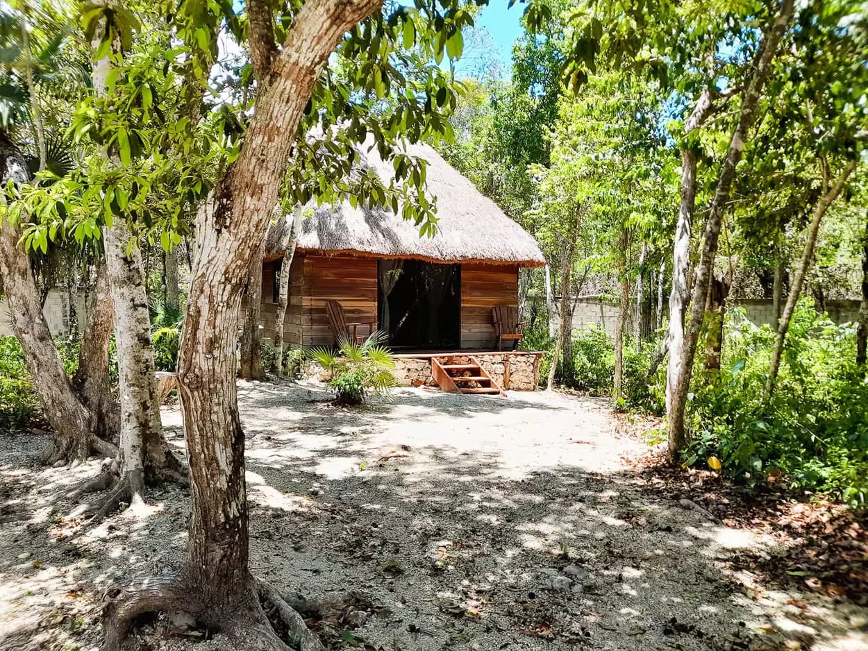 10 Cabin Jungle Retreat - photo 10
