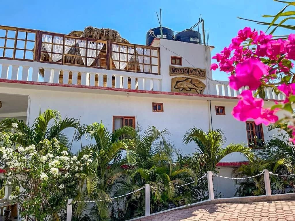 Casa Delfin Ocean View Hotel - photo 46
