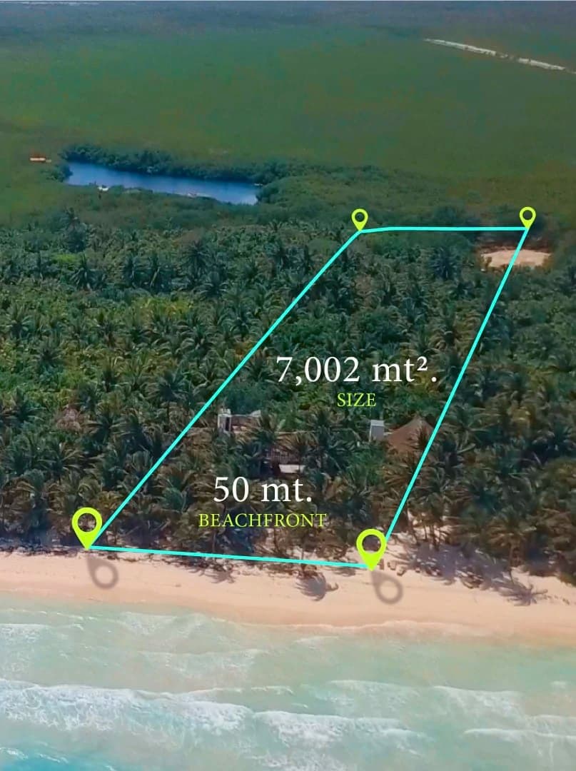 Tulum Hotel Zone Beachfront Land - photo 2