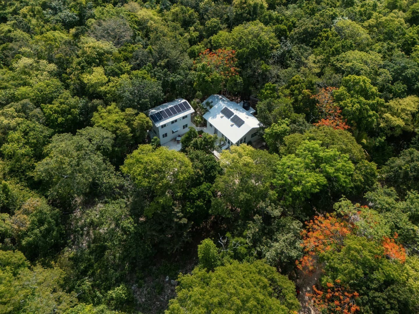 Jungle Homes on 2.5 Acres - photo 13