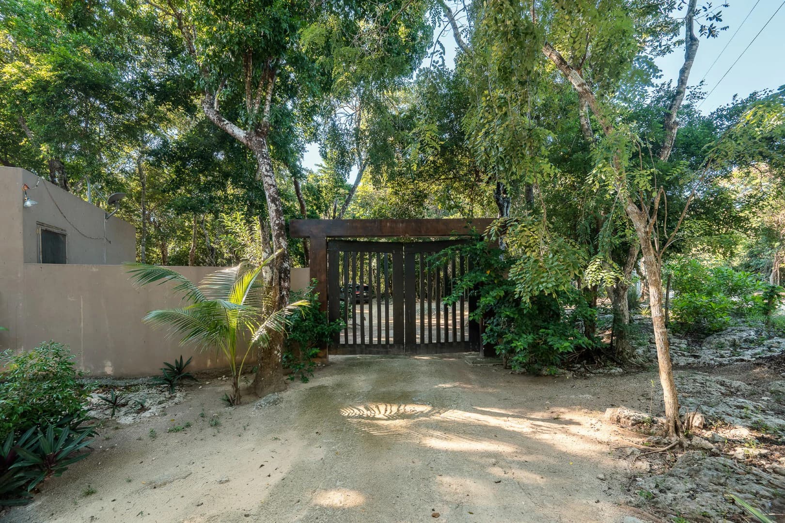 Multi-Unit: 3 Cenotes + Guest House on 1 Hectare - photo 22
