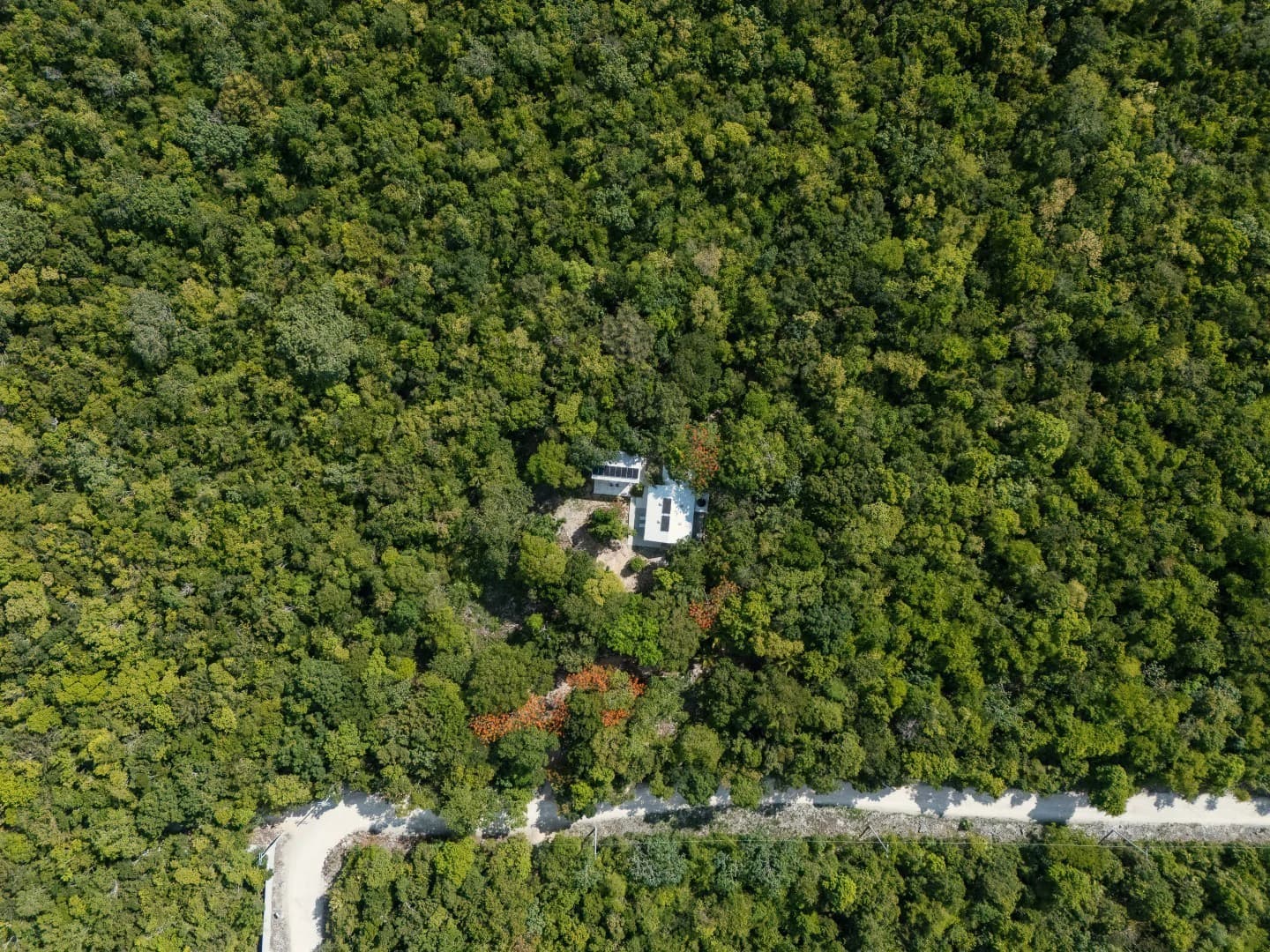 Jungle Homes on 2.5 Acres - photo 15