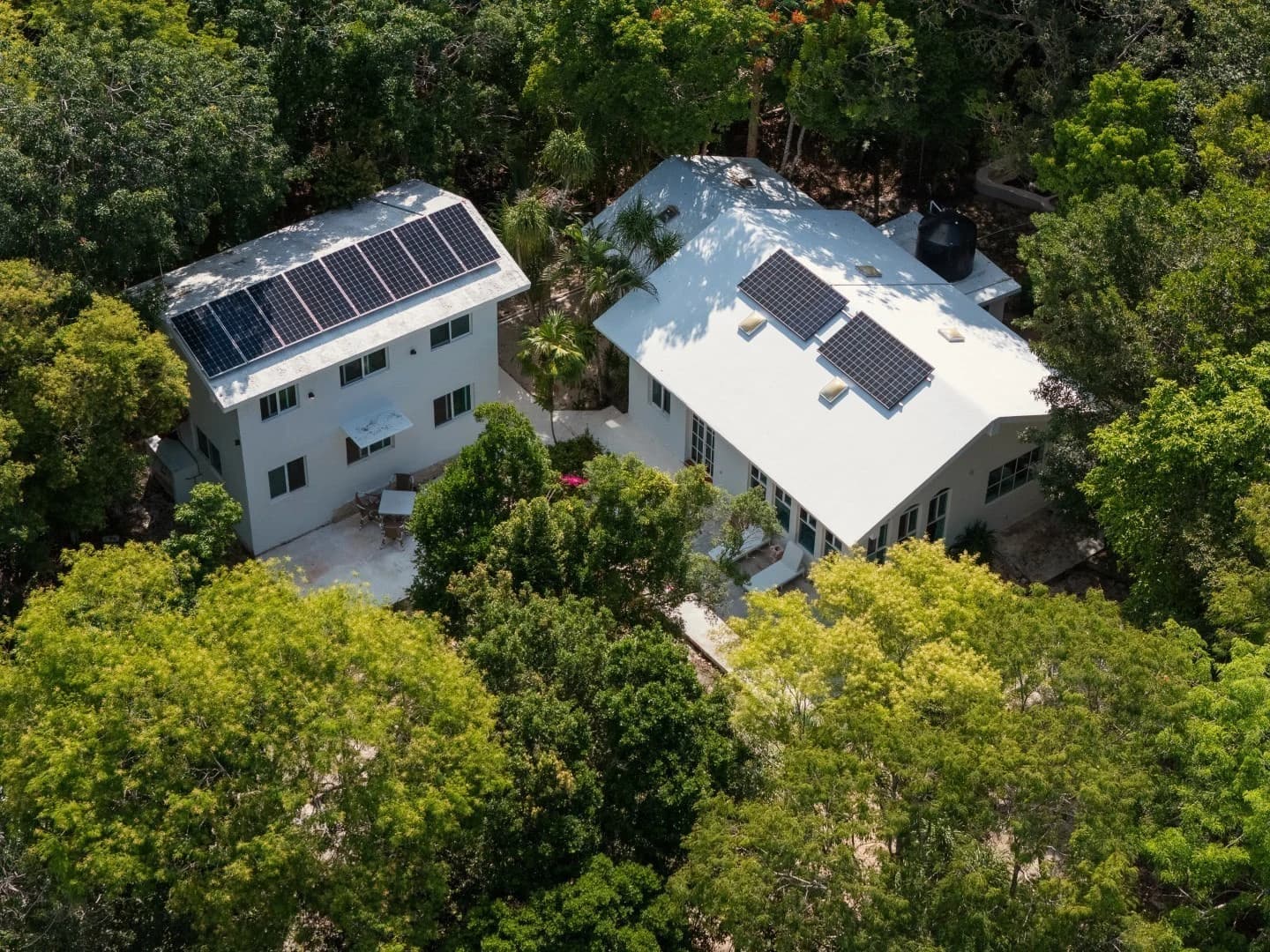 Jungle Homes on 2.5 Acres - photo 1