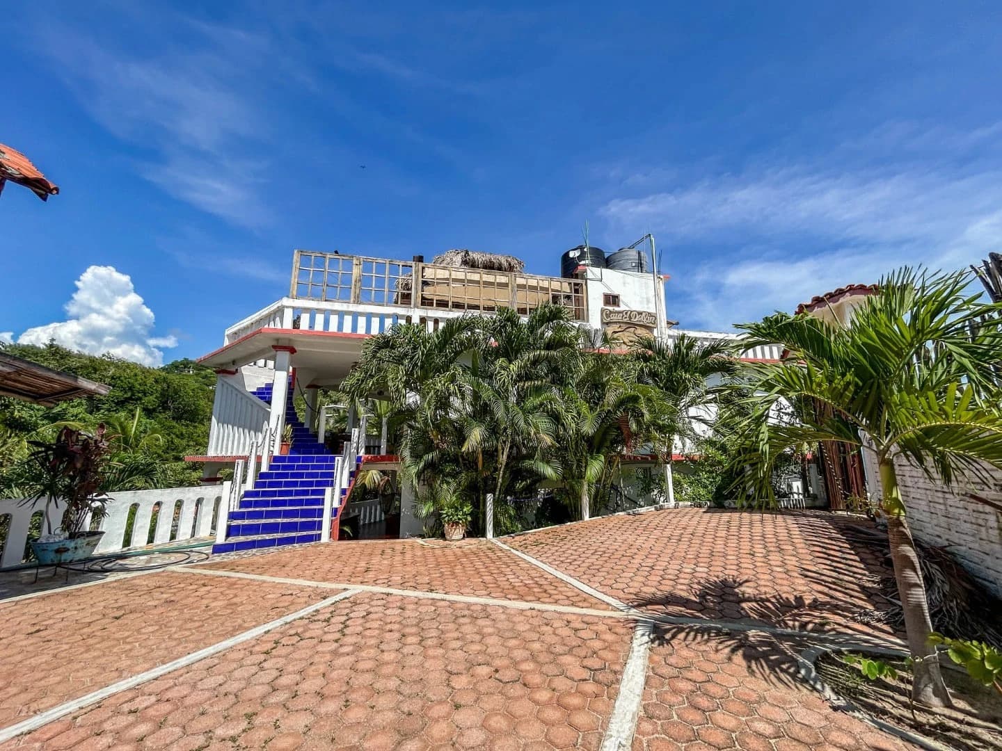 Casa Delfin Ocean View Hotel - photo 7