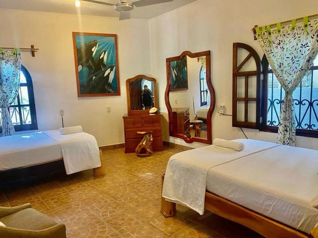 Casa Delfin Ocean View Hotel - photo 18