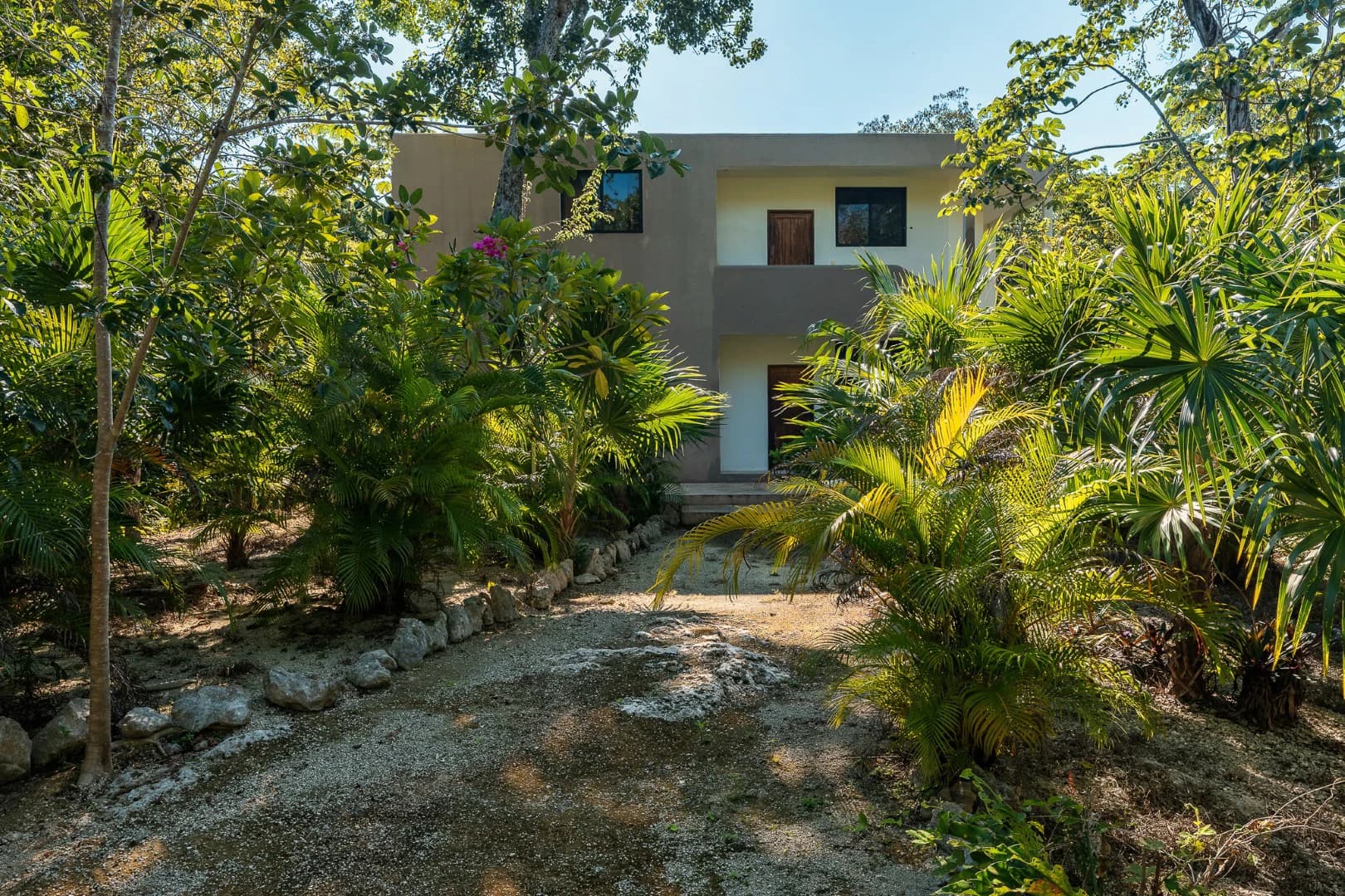 Multi-Unit: 3 Cenotes + Guest House on 1 Hectare - photo 8