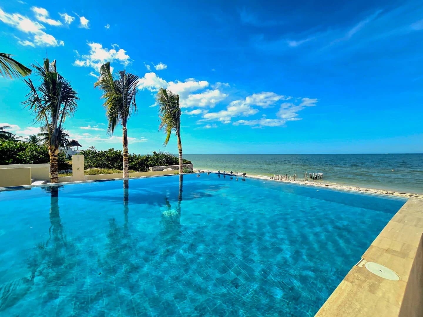Catavento 3 Bedroom Beachfront Condo - photo 20
