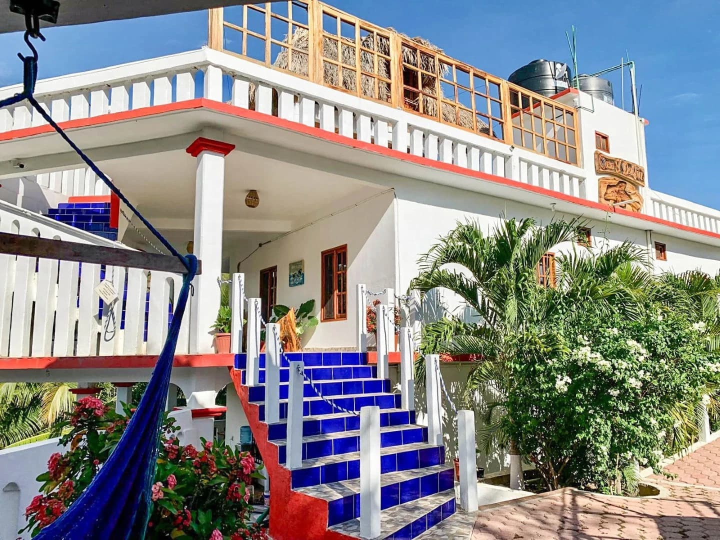 Casa Delfin Ocean View Hotel - photo 13
