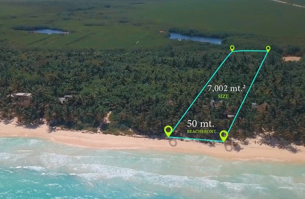 Tulum Hotel Zone Beachfront Land - photo 20