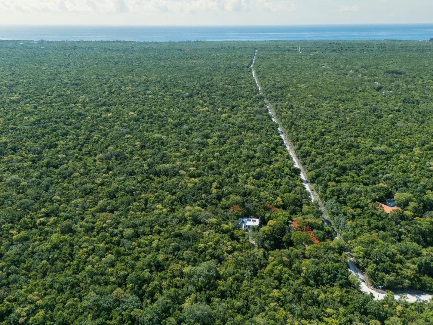 Jungle Homes on 2.5 Acres - photo 17