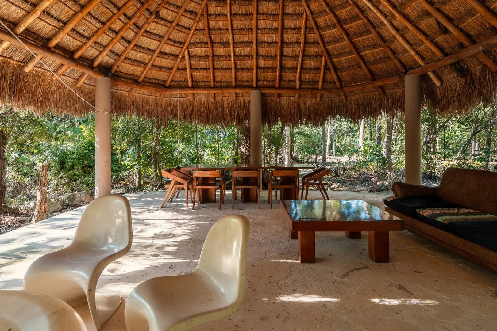Multi-Unit: 3 Cenotes + Guest House on 1 Hectare - photo 4