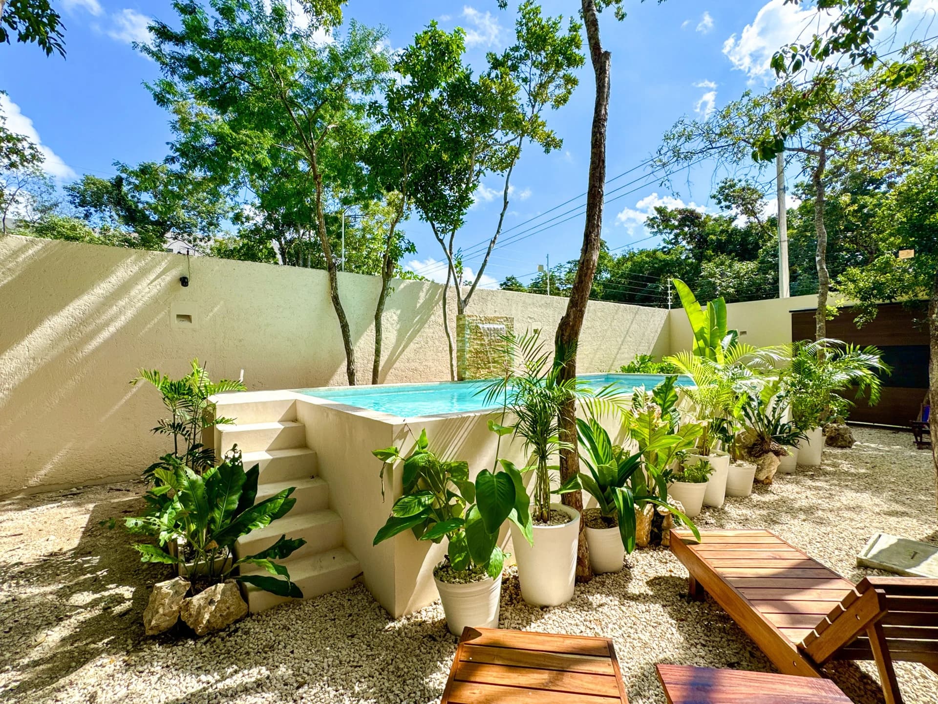 Casa Organica 4 Bedroom Villa - photo 12