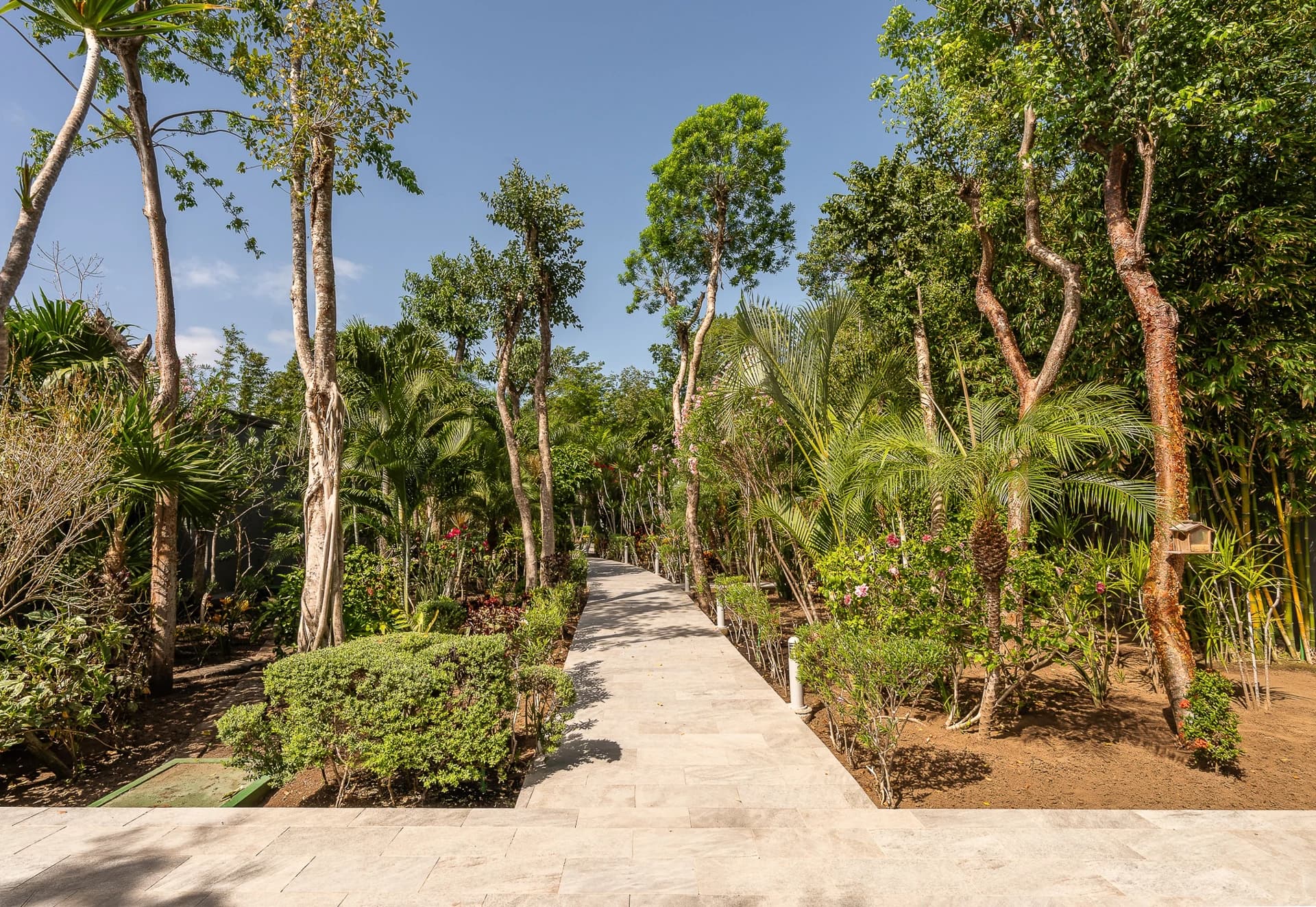 Rancho Paraiso Oasis - photo 104