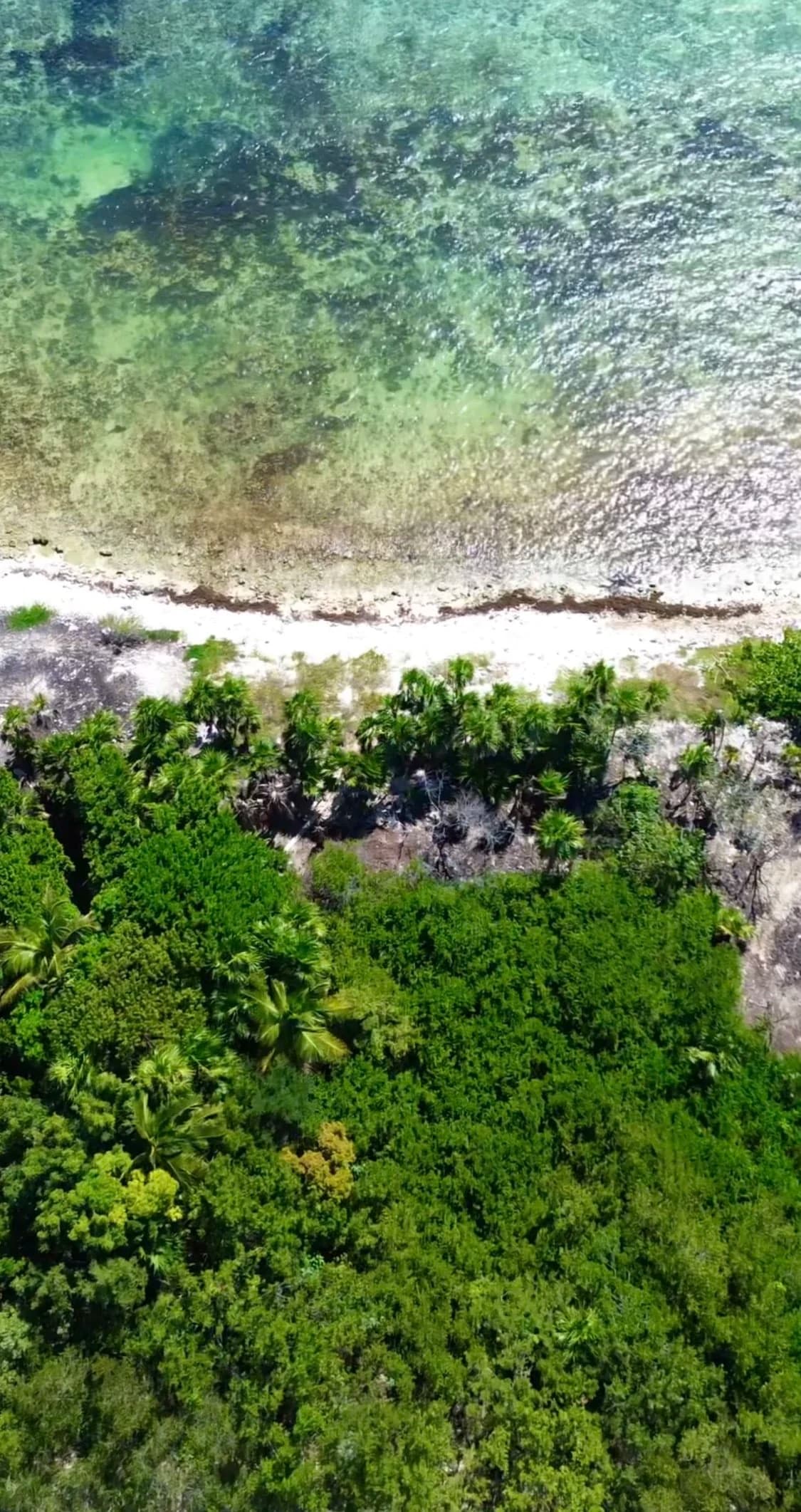 Tankah Bay Tulum Beachfront Lot - photo 5