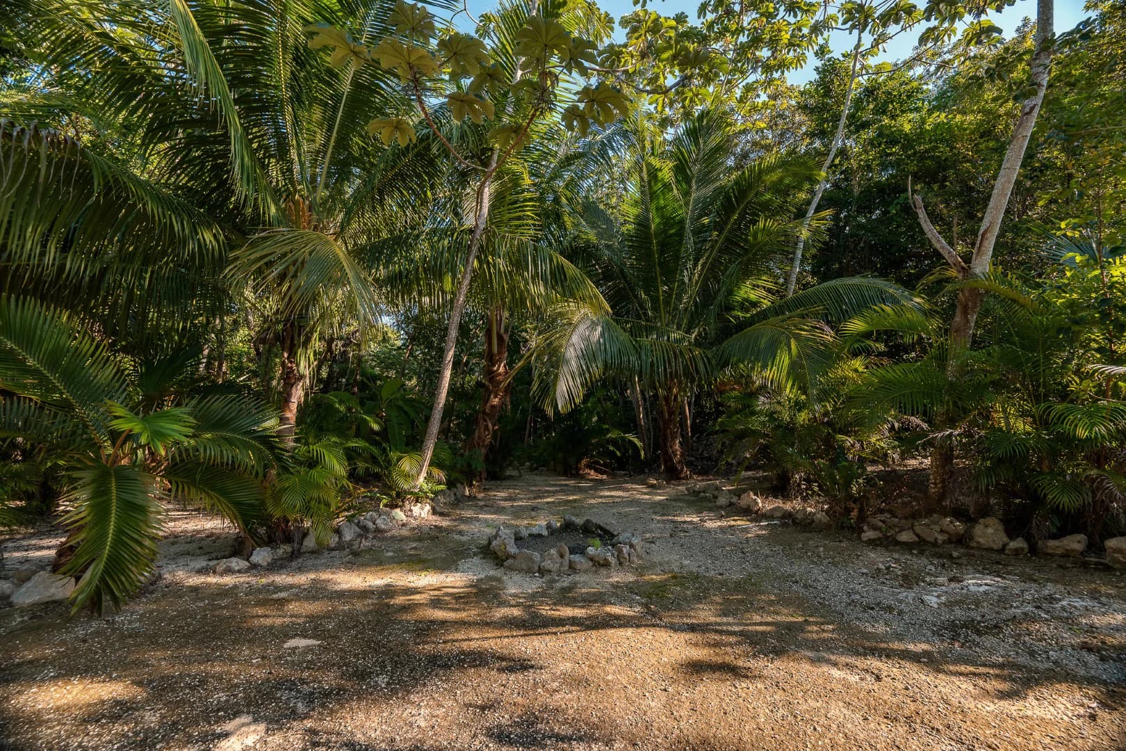 Multi-Unit: 3 Cenotes + Guest House on 1 Hectare - photo 25