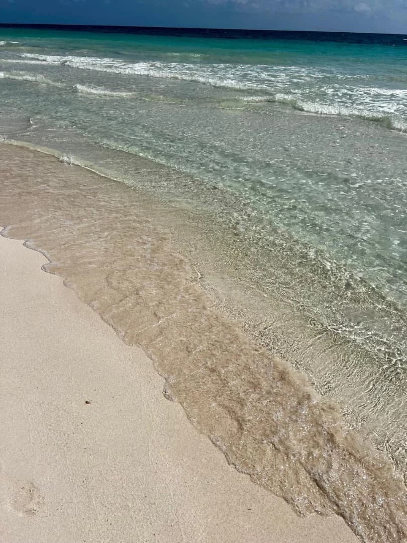 Tulum Hotel Zone Beachfront Land - photo 15