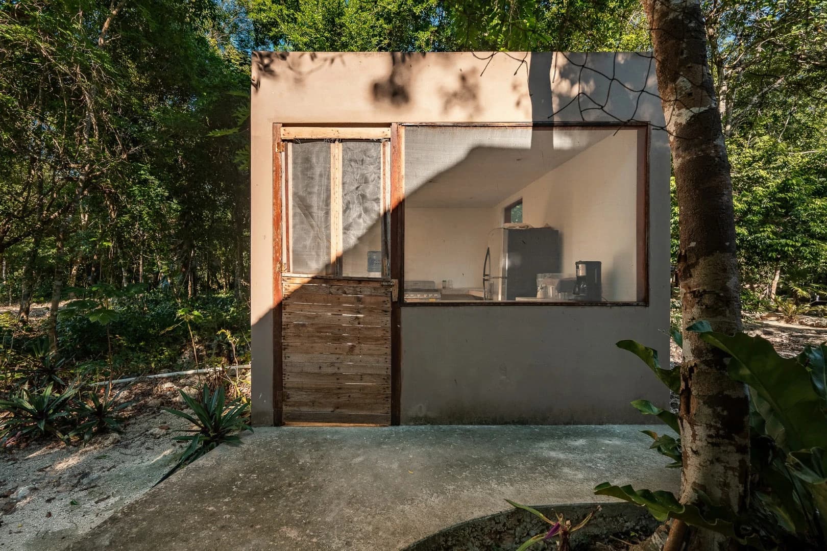 Multi-Unit: 3 Cenotes + Guest House on 1 Hectare - photo 21