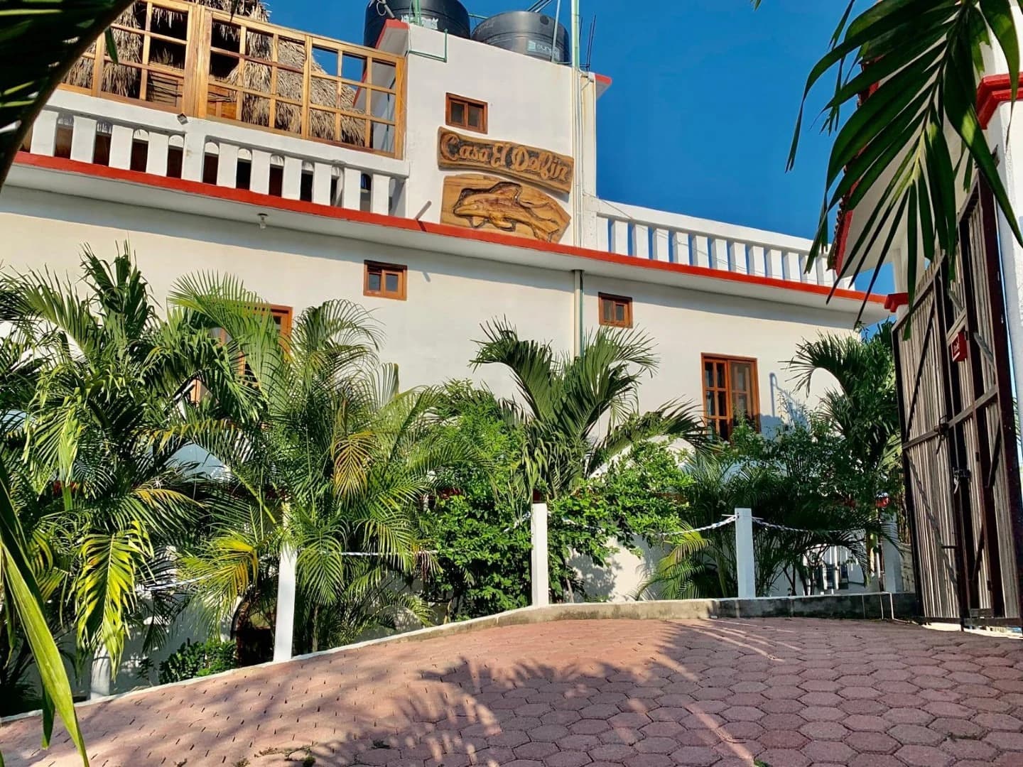 Casa Delfin Ocean View Hotel - photo 35