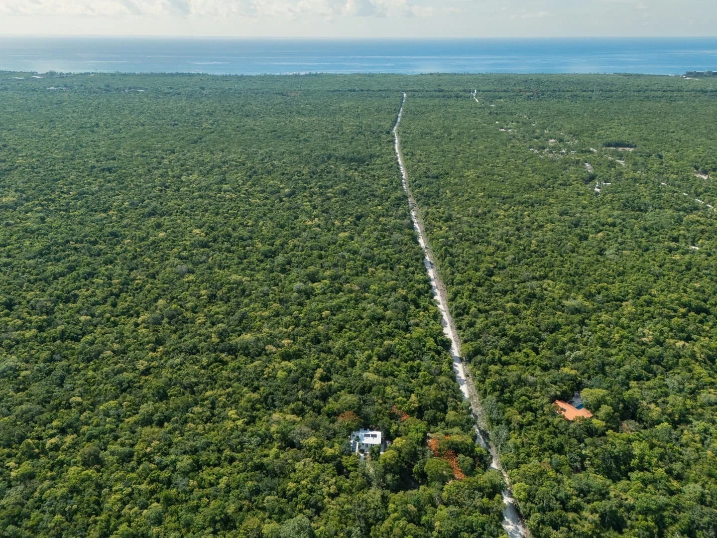 Jungle Homes on 2.5 Acres - photo 3