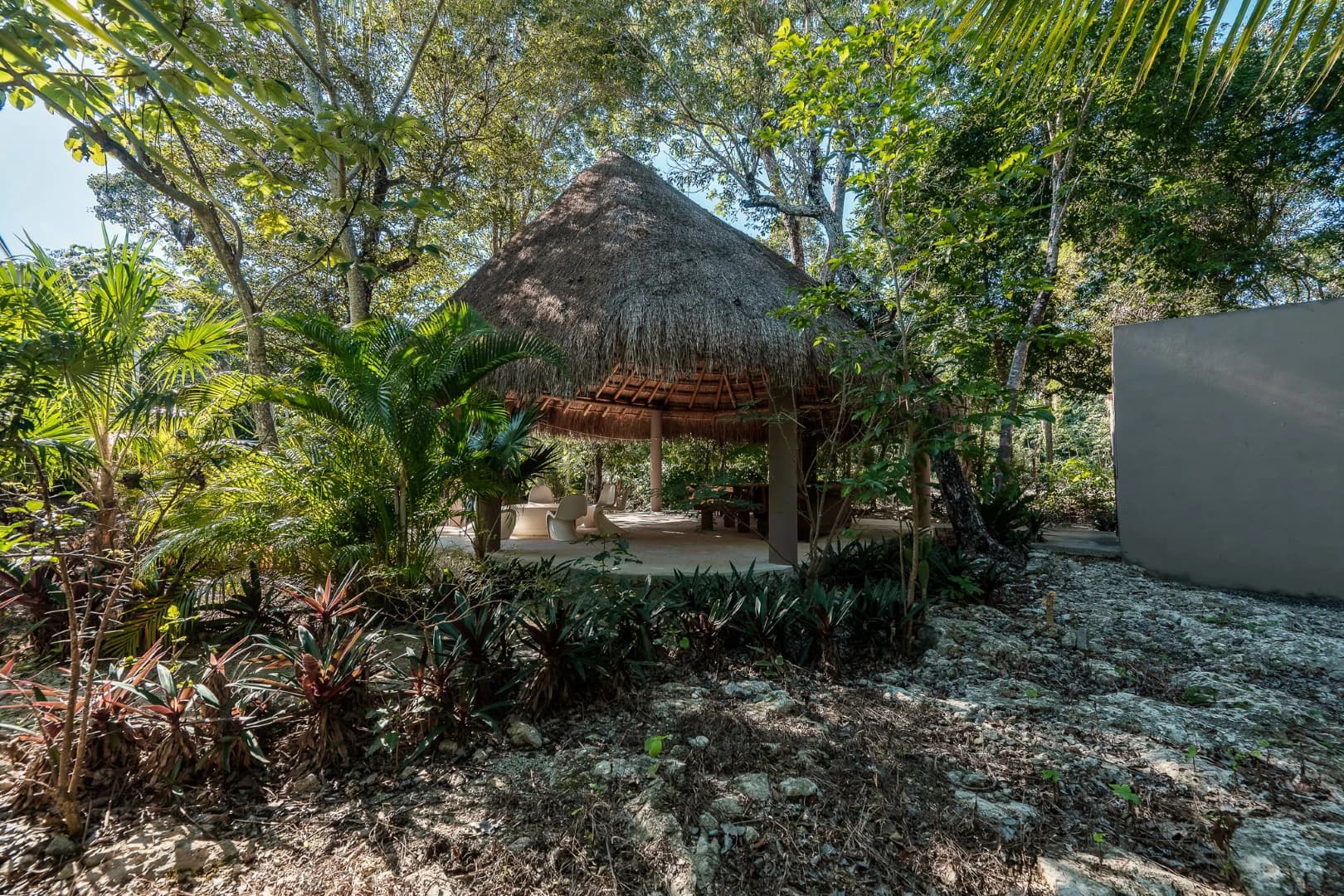 Multi-Unit: 3 Cenotes + Guest House on 1 Hectare - photo 18