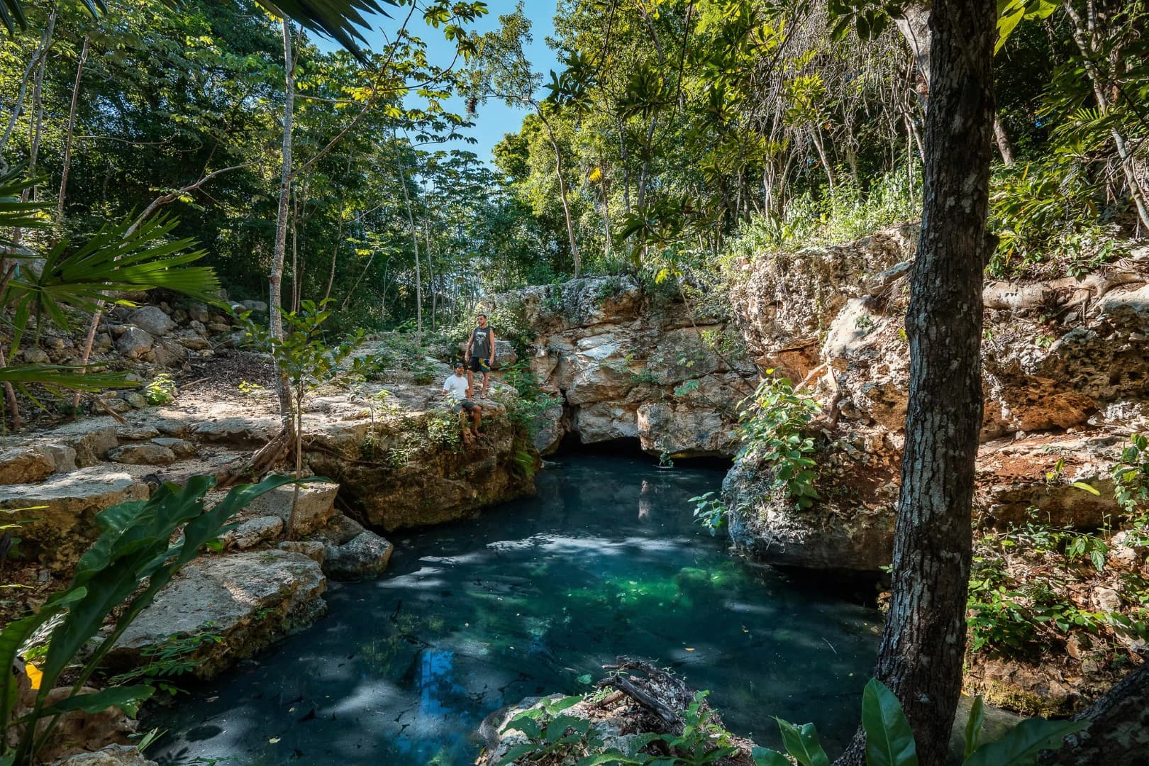 Multi-Unit: 3 Cenotes + Guest House on 1 Hectare - photo 2