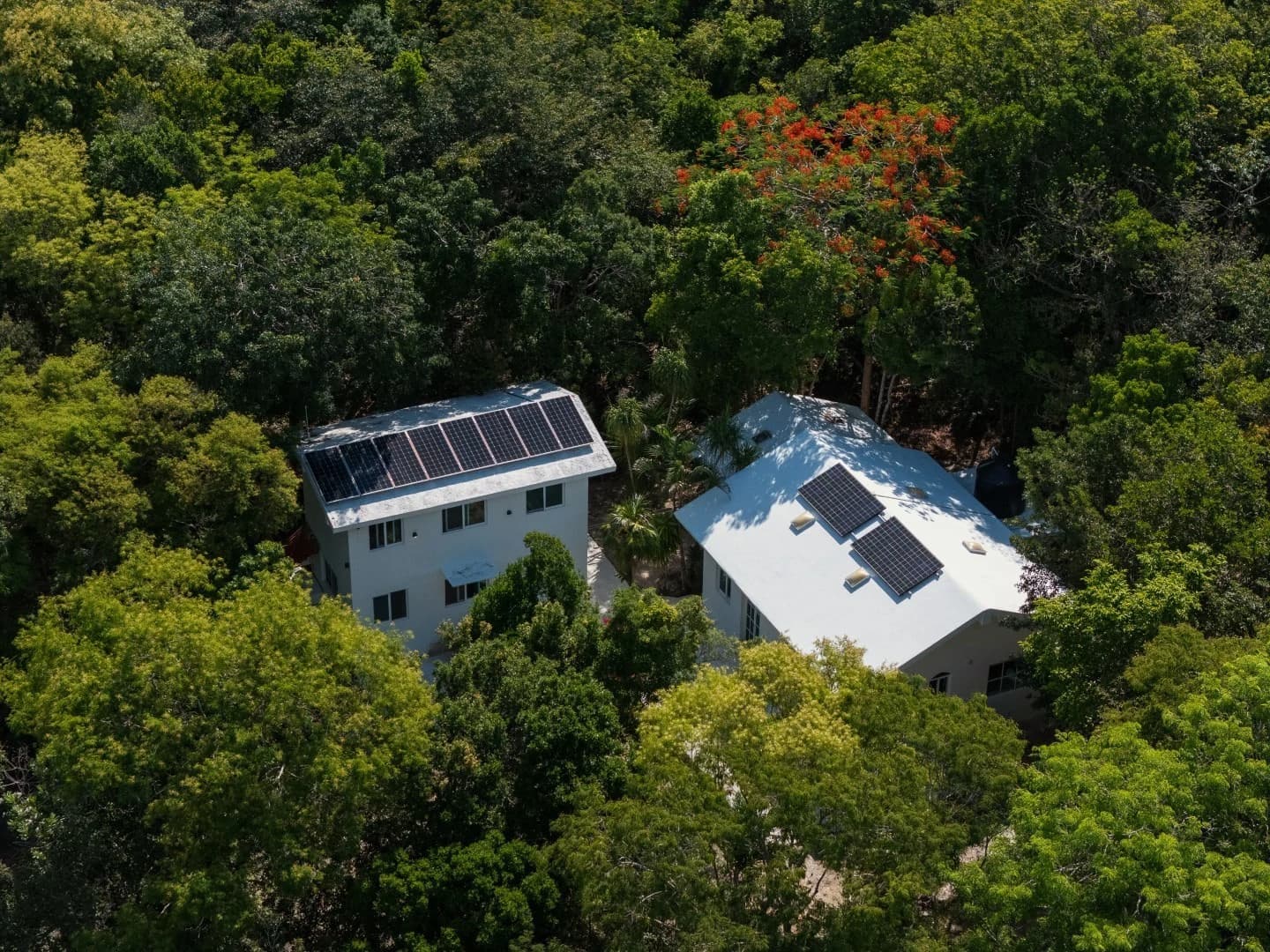 Jungle Homes on 2.5 Acres - photo 14