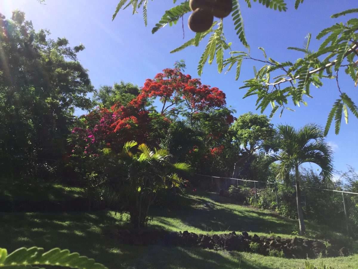 Sunset Haven Villa, Cap Estate. - photo 15