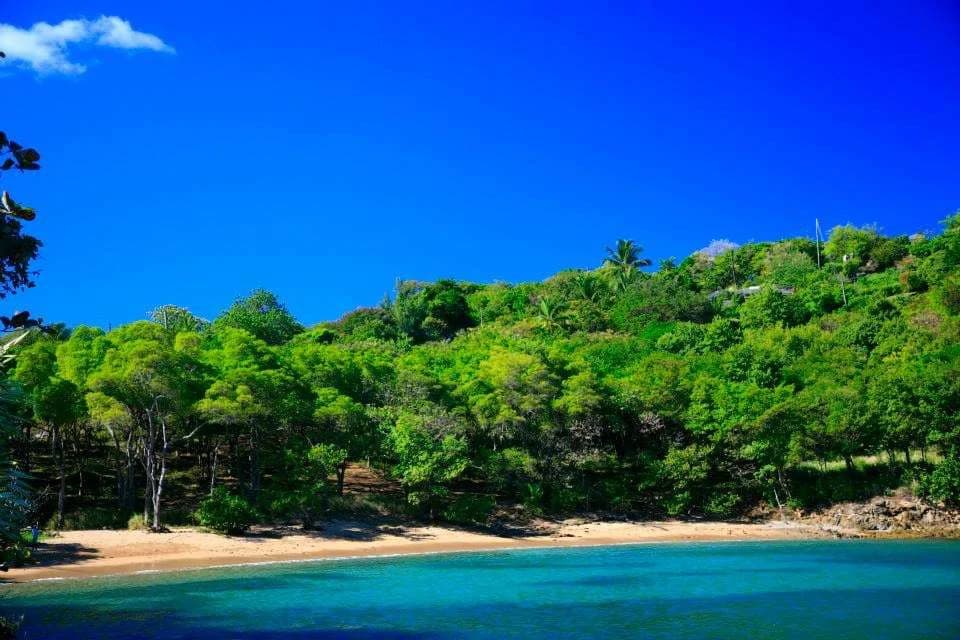 C'est La Vie, Trouya, St Lucia - photo 22
