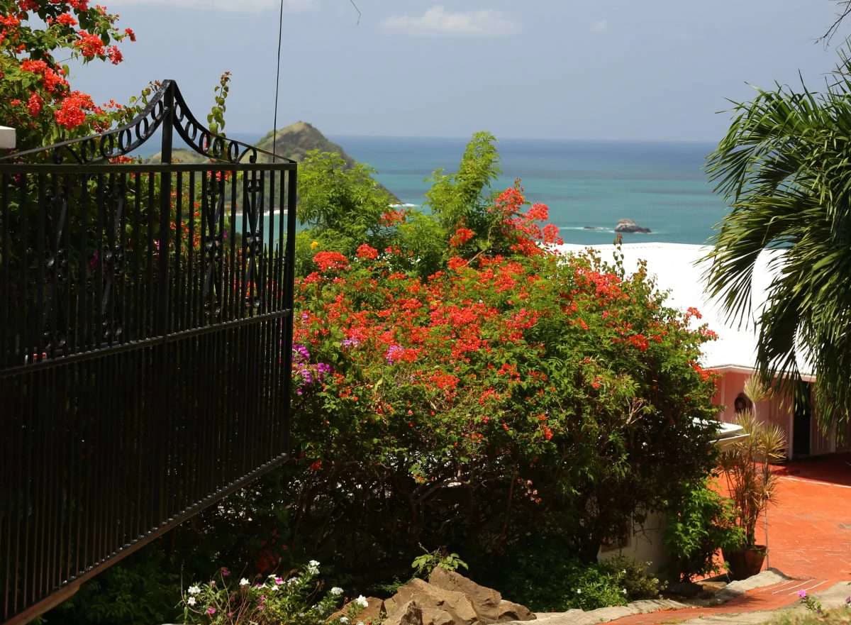 16 Saddleback, Cap Estate. - photo 3