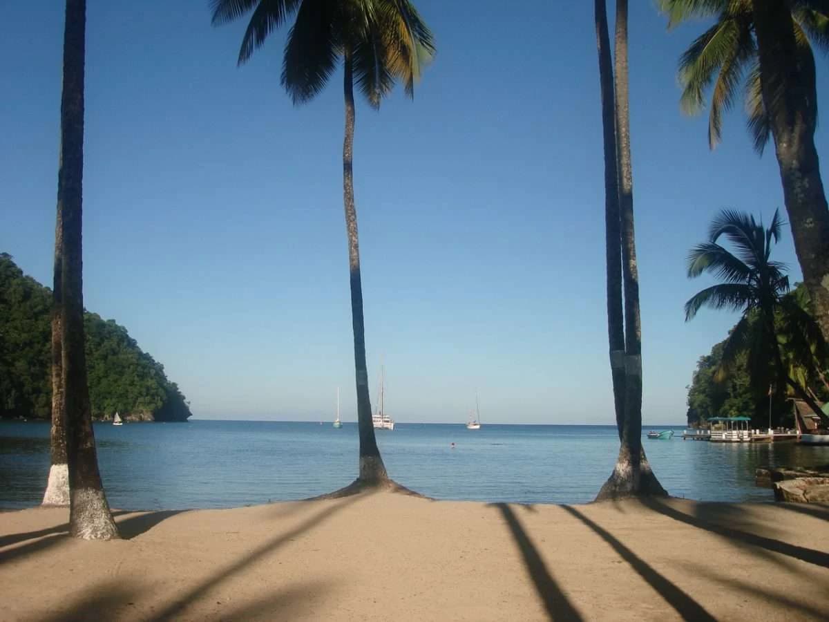 Mango Beach Villa Marigot Bay - photo 20